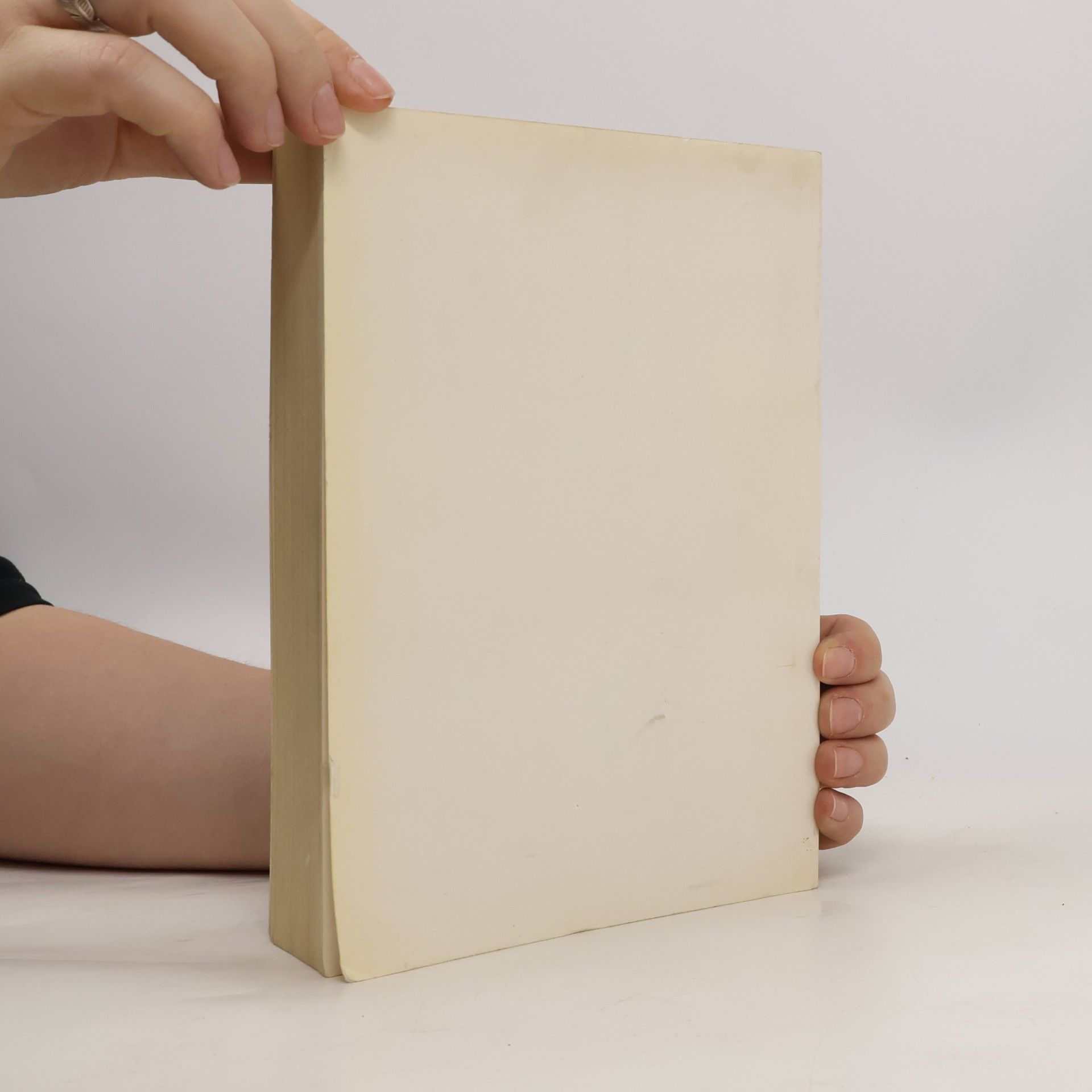 Various authors Romanische Kunst in Österreich
