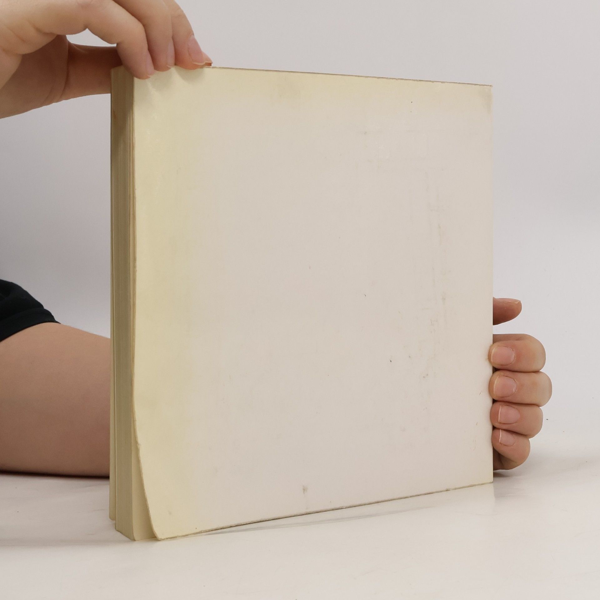 kolektiv Die Kunst der Donauschule 1490-1540
