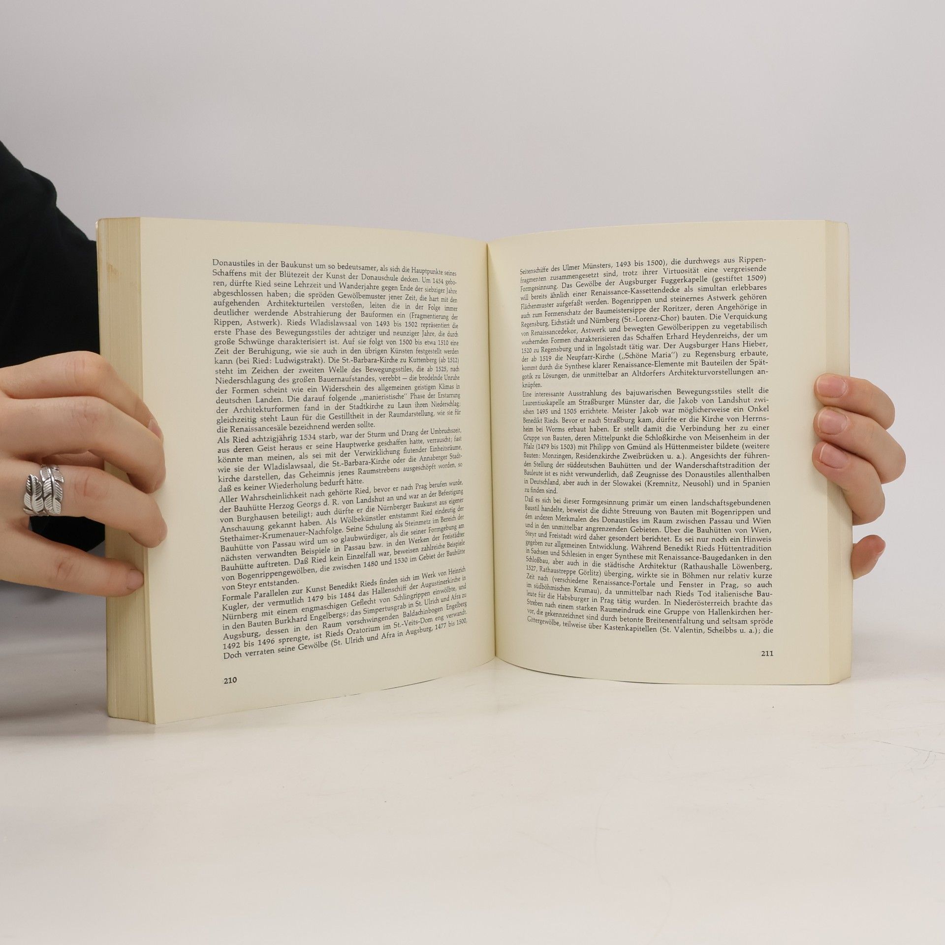 kolektiv Die Kunst der Donauschule 1490-1540