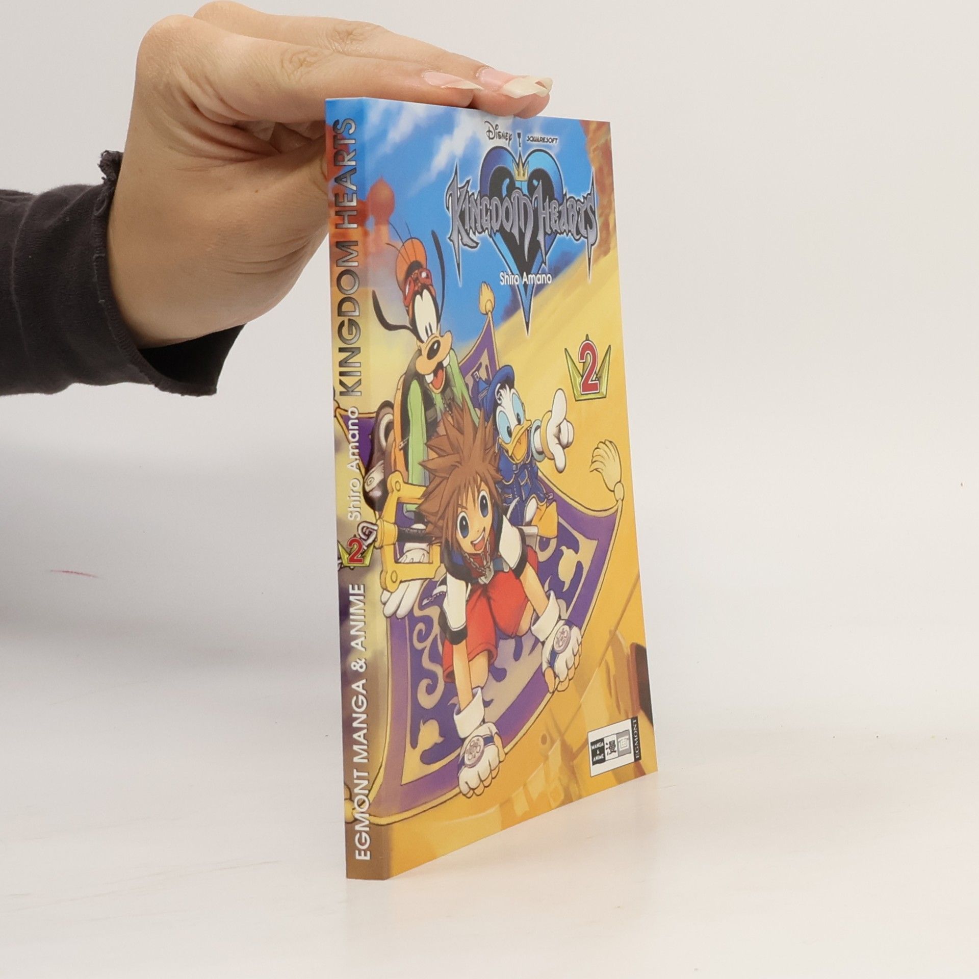 Shiro Amano Kingdom hearts 2