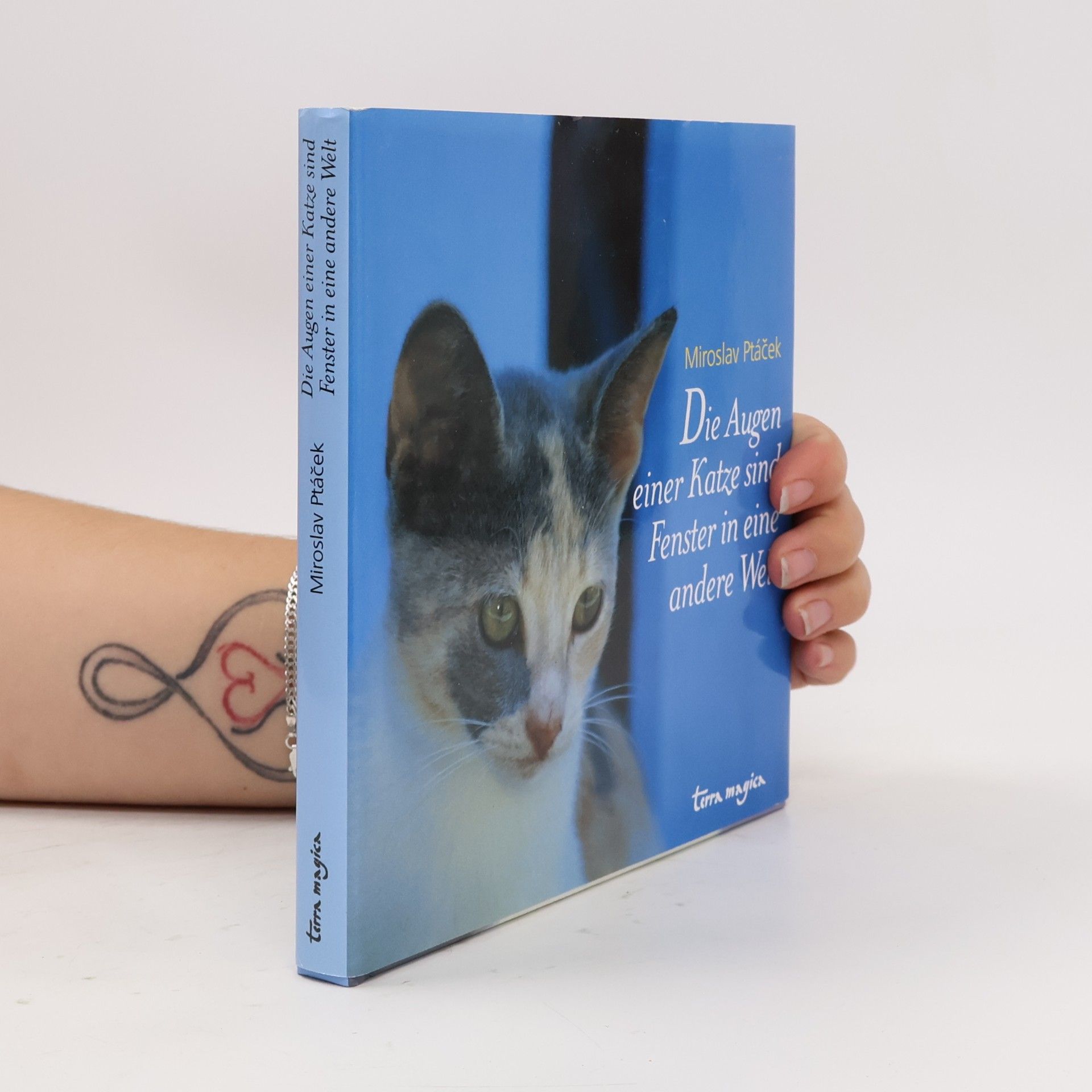 Miroslav Ptáček Die Augen einer Katze sind Fenster in eine andere Welt