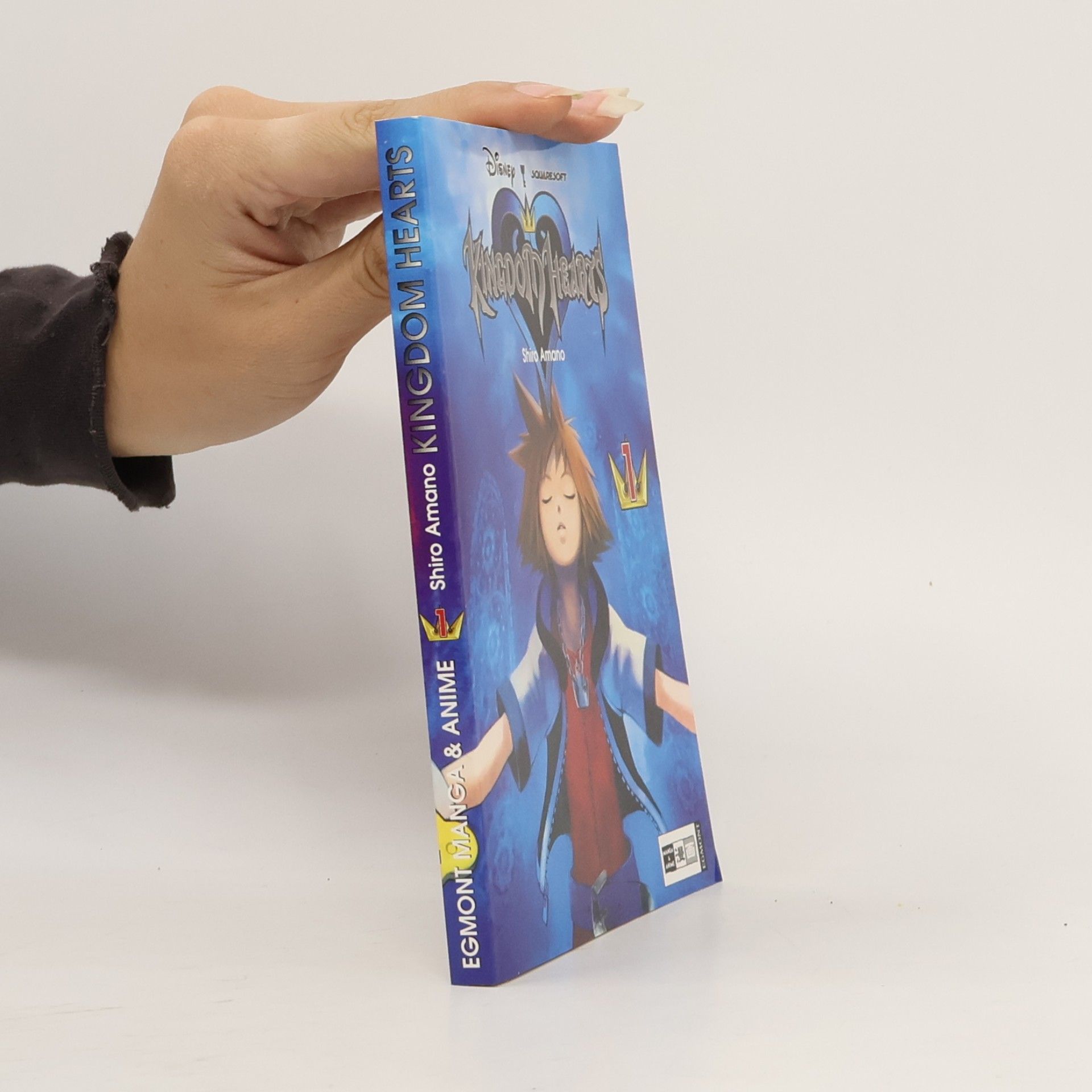 Kolektiv autorů Kingdom hearts