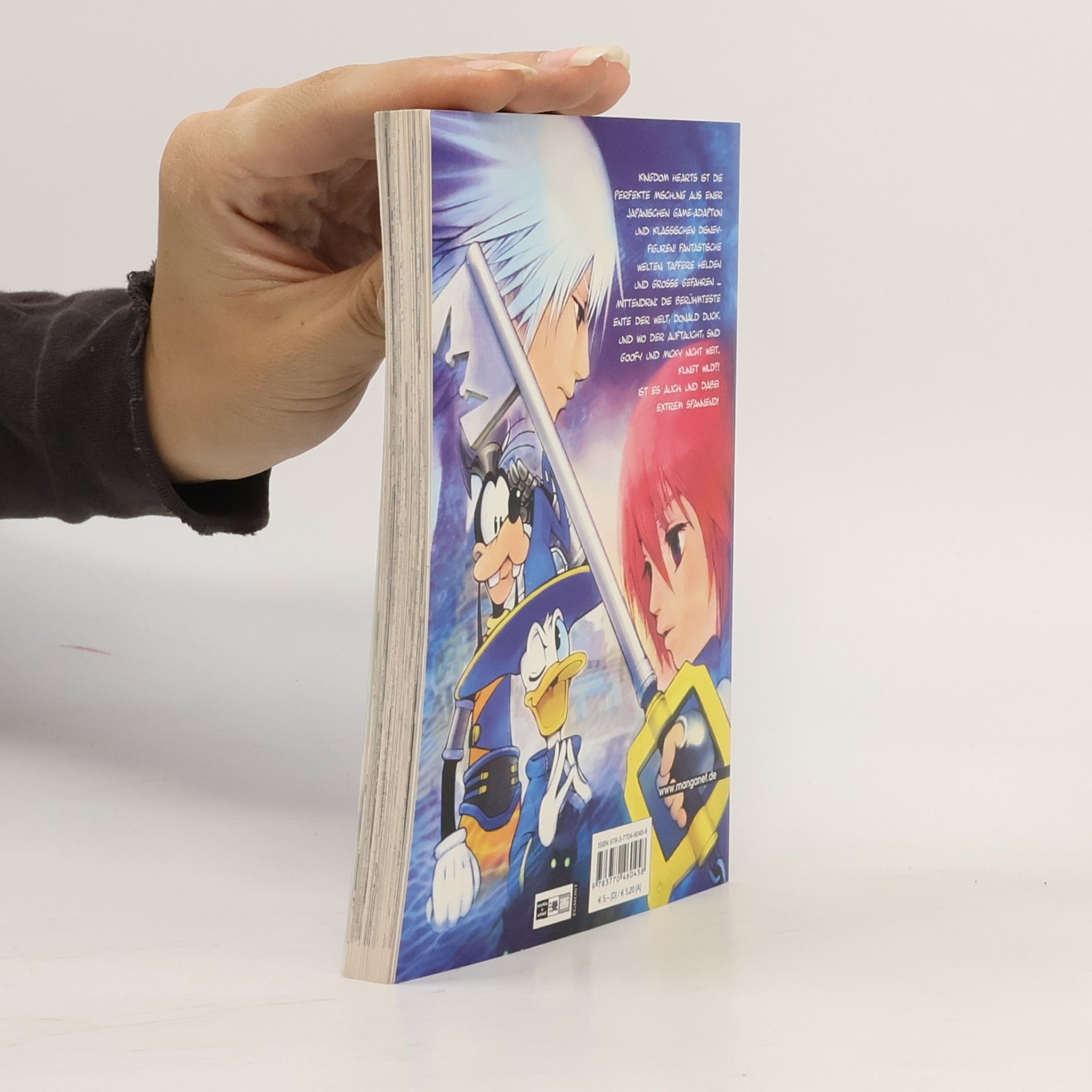 Kingdom hearts