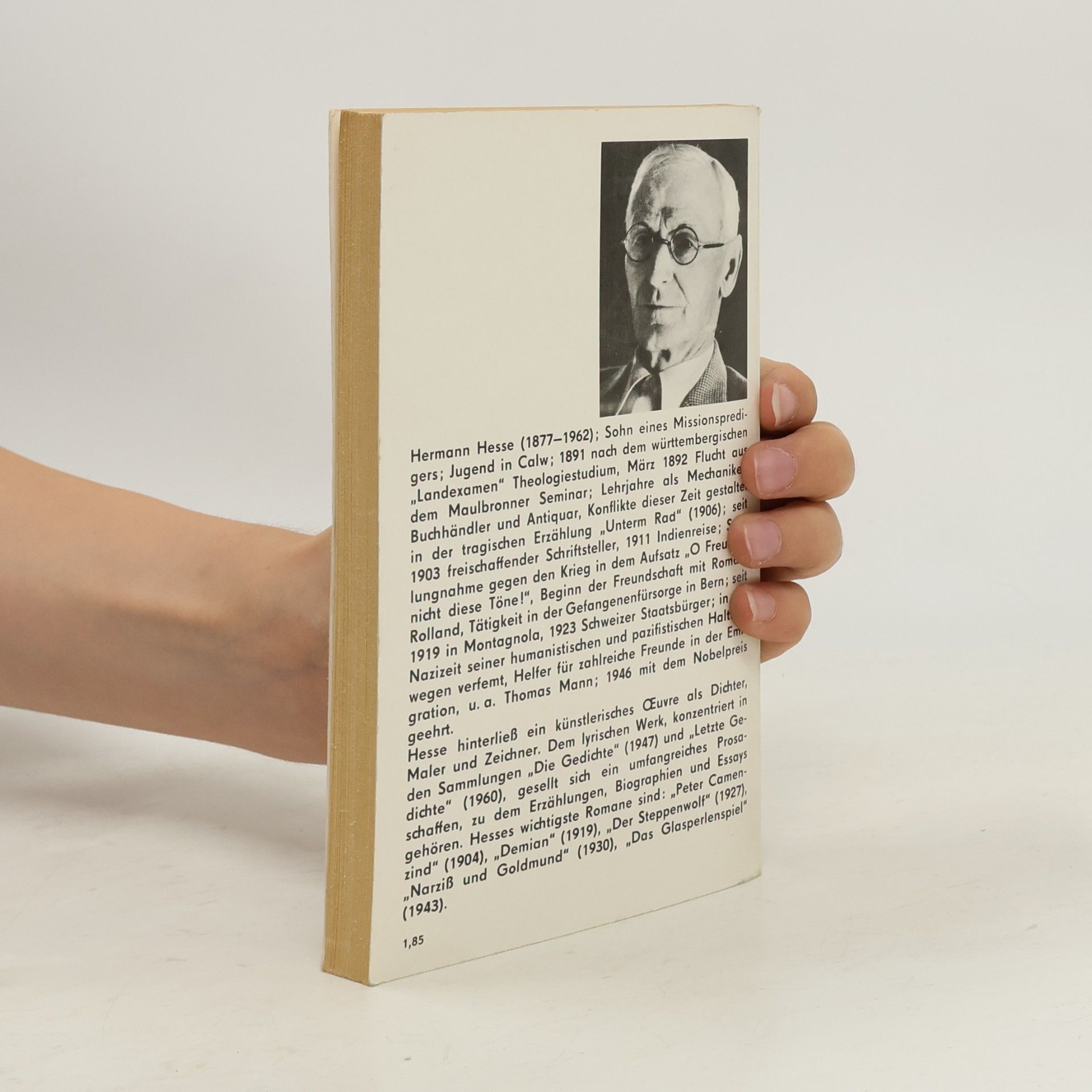 Hermann Hesse Knulp, Kurgast