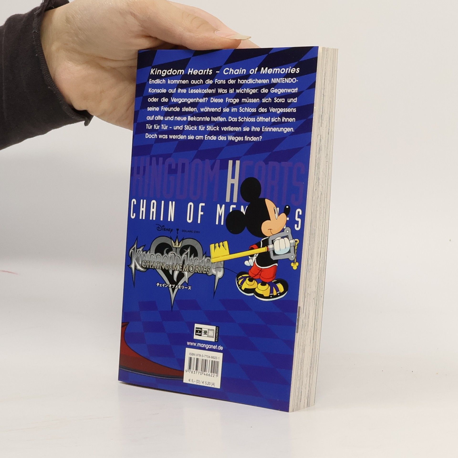 Kingdom hearts