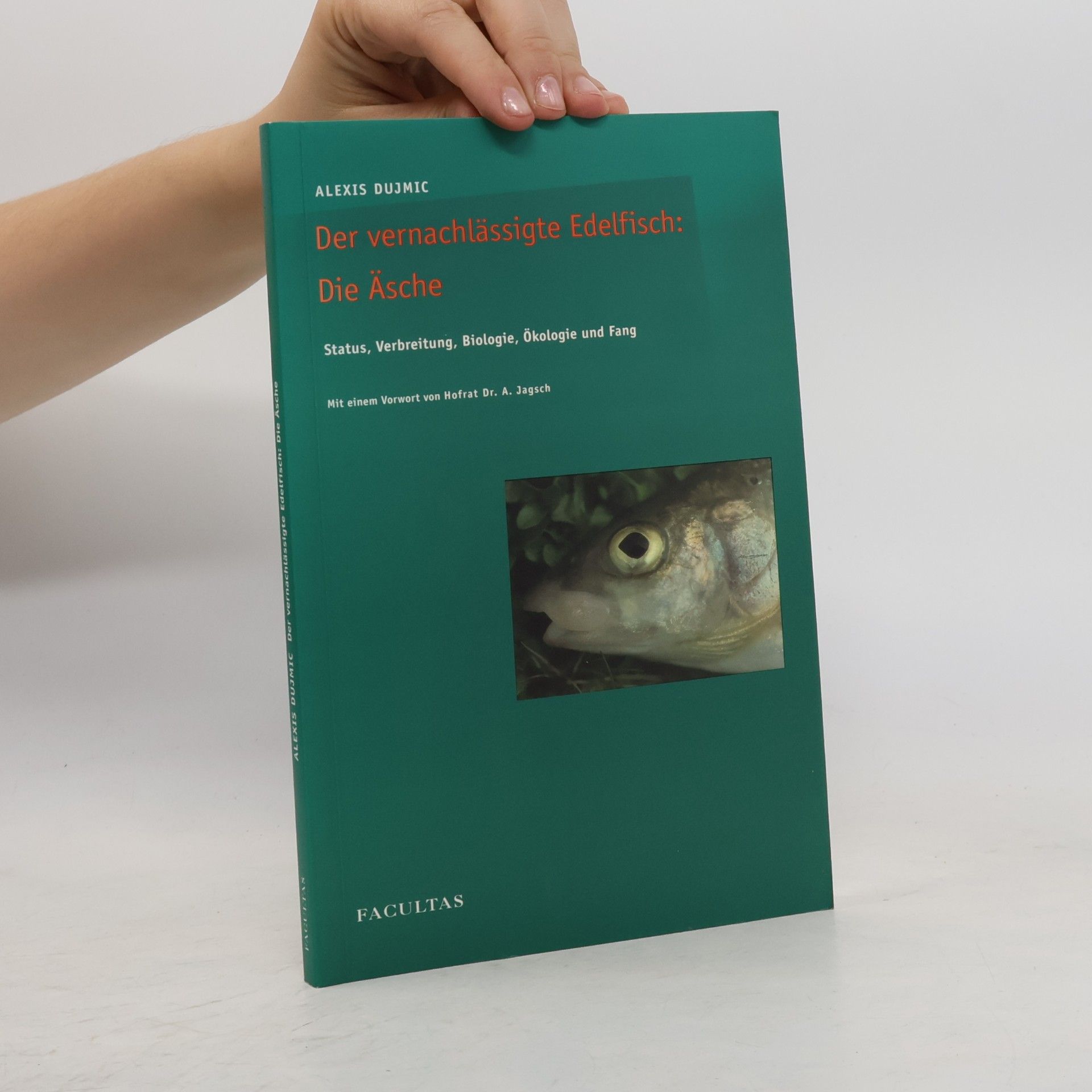 Alexis Dujmic Der vernachlässigte Edelfisch: die Äsche