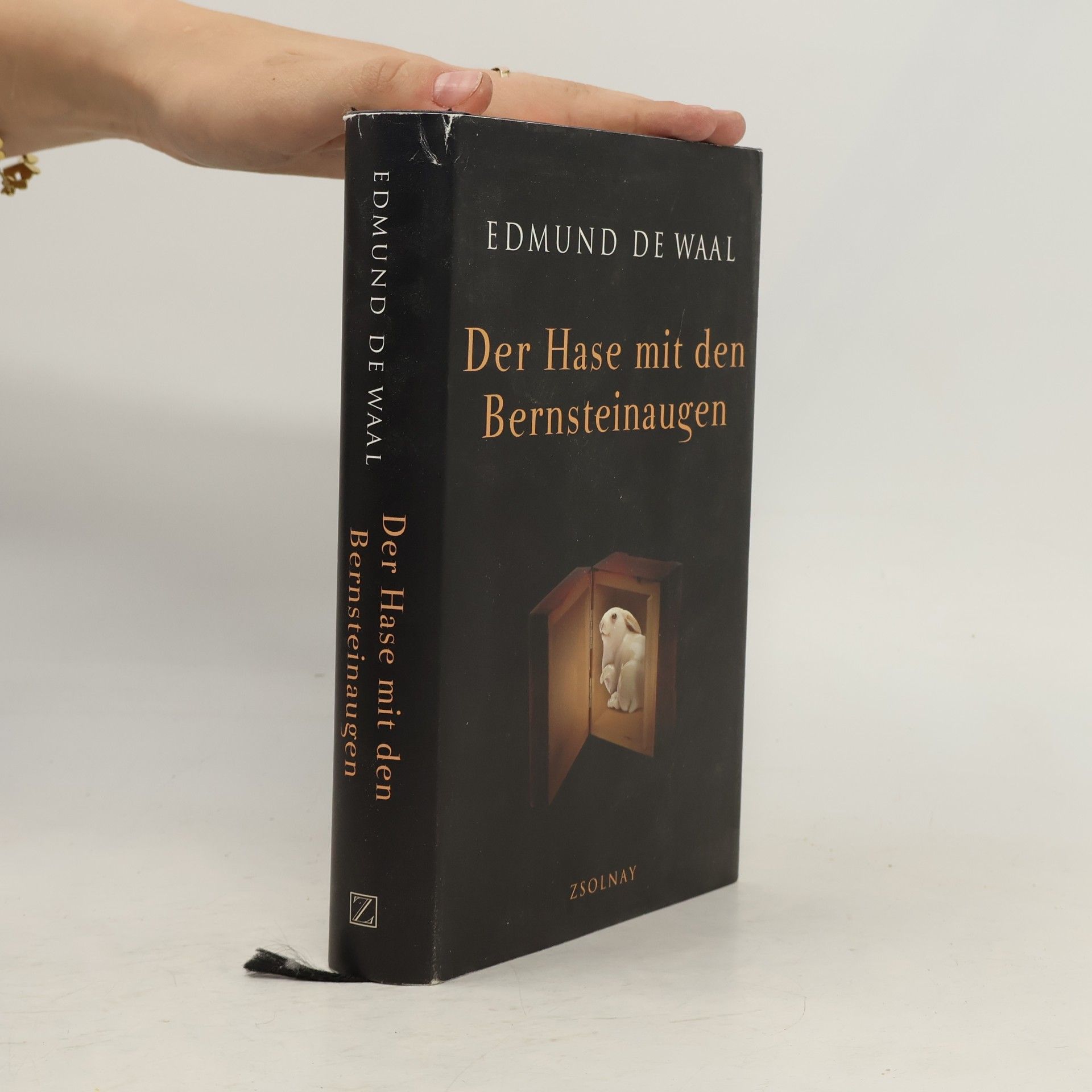 Edmund de Waal Der Hase mit den Bernteinaugen
