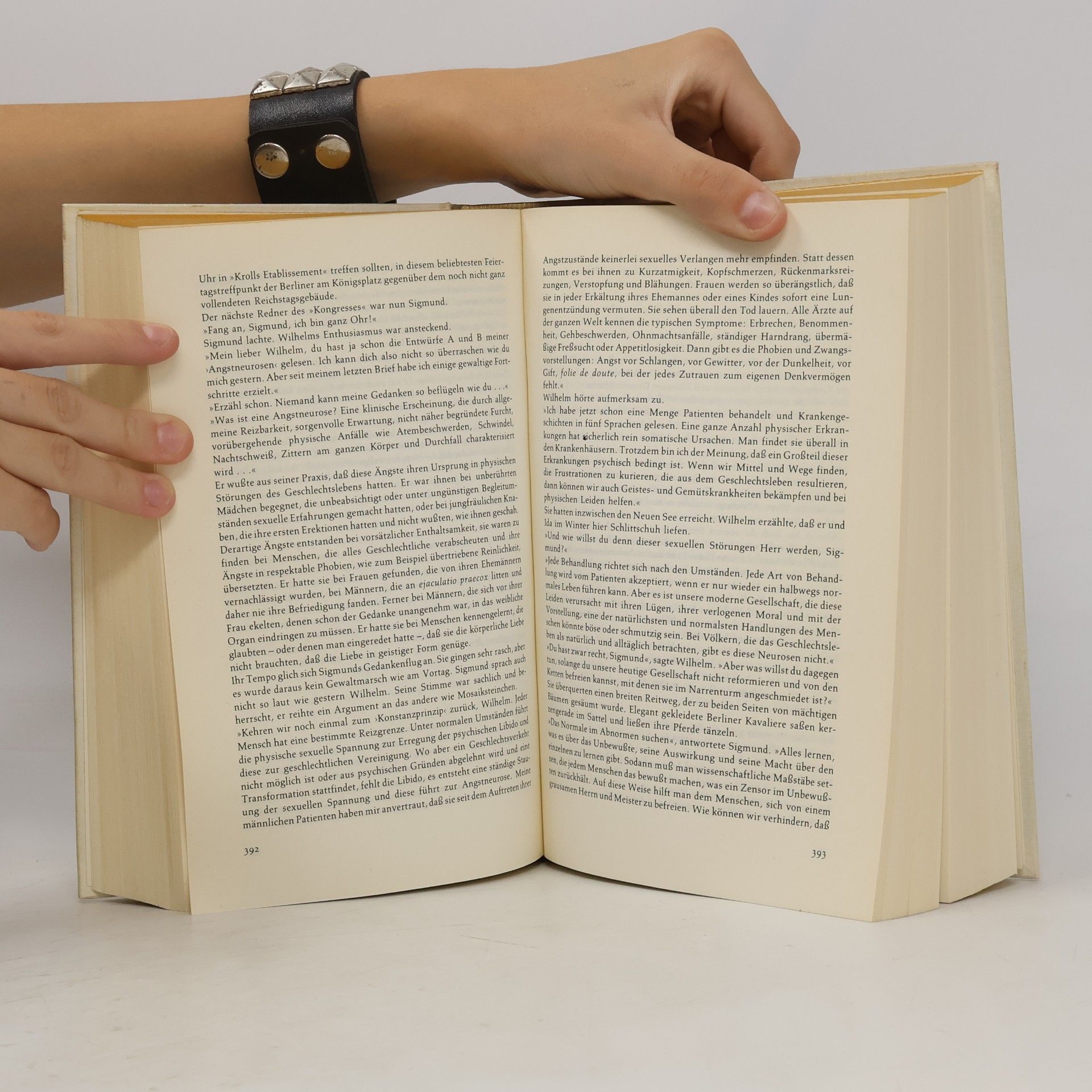 Irving Stone Der Seele dunkle Pfade