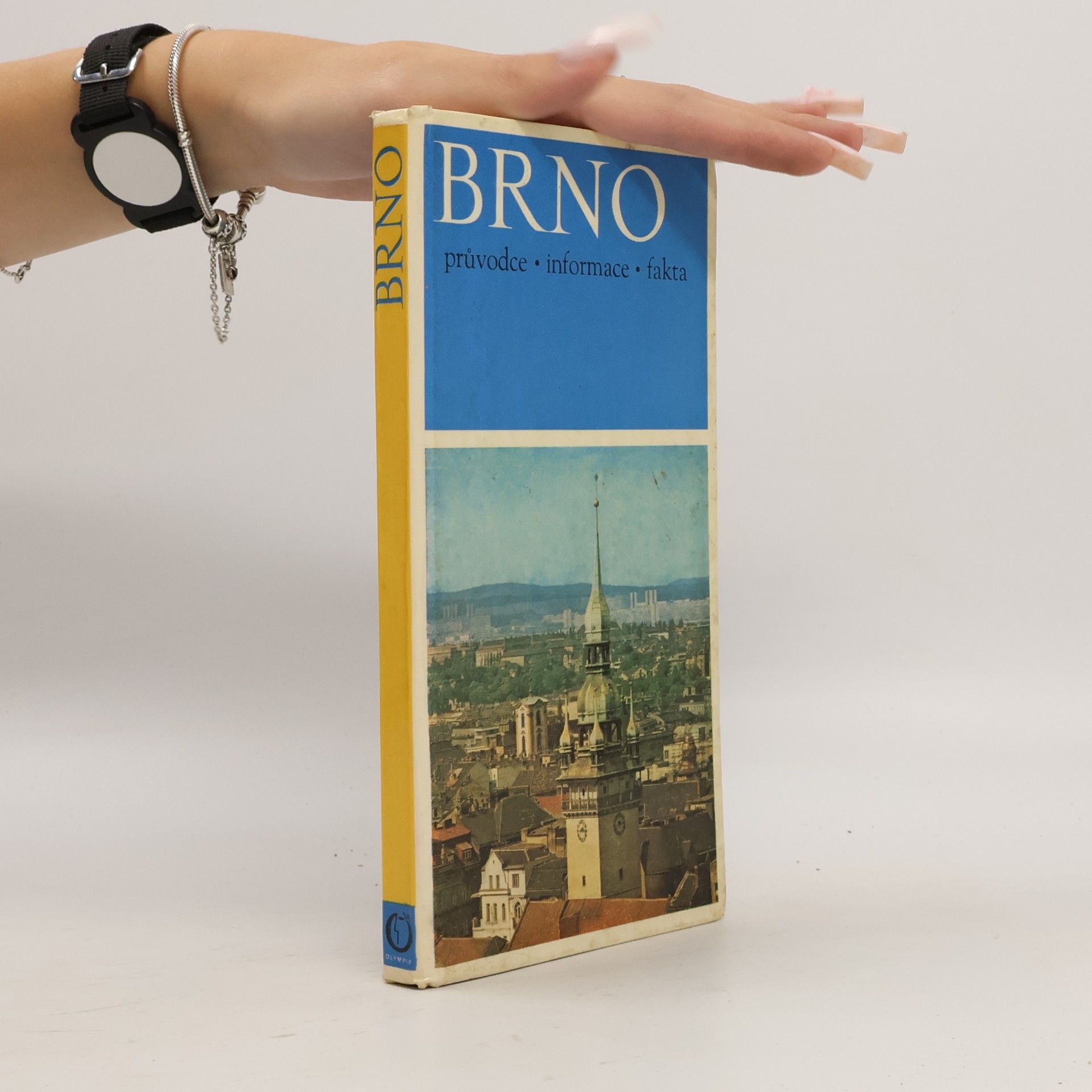Kolektiv autorů Brno. Průvodce, informace, fakta