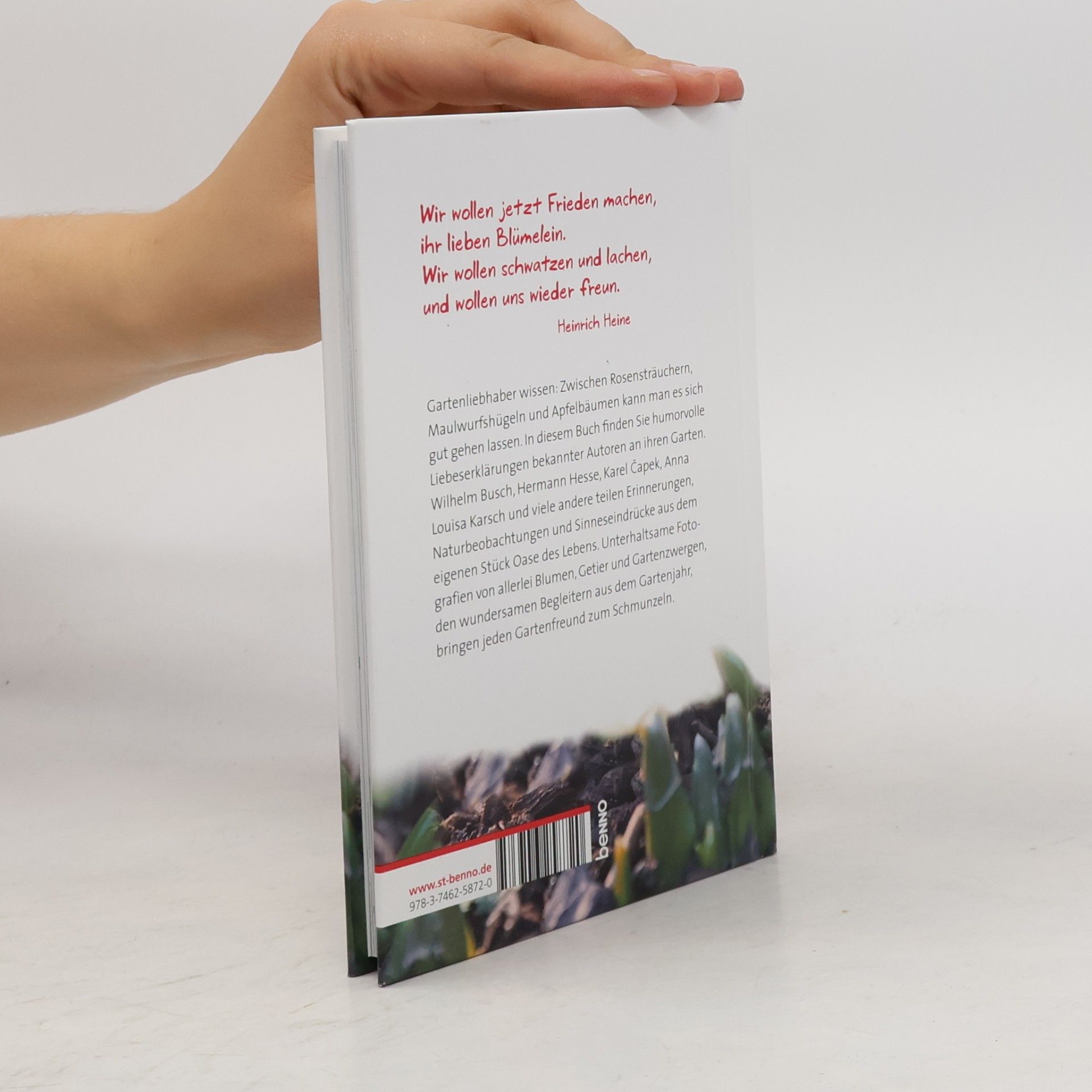 Autorenkollektiv Ein Glückspilz wächst selten von allein