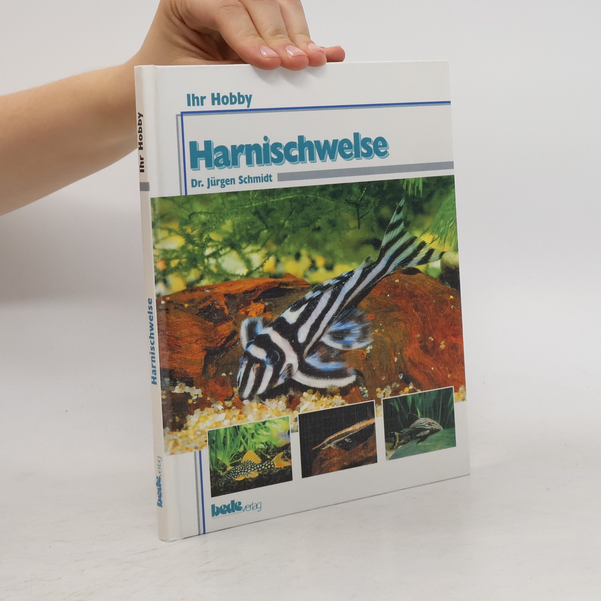 Jürgen Schmidt-Radefeldt Harnischwelse