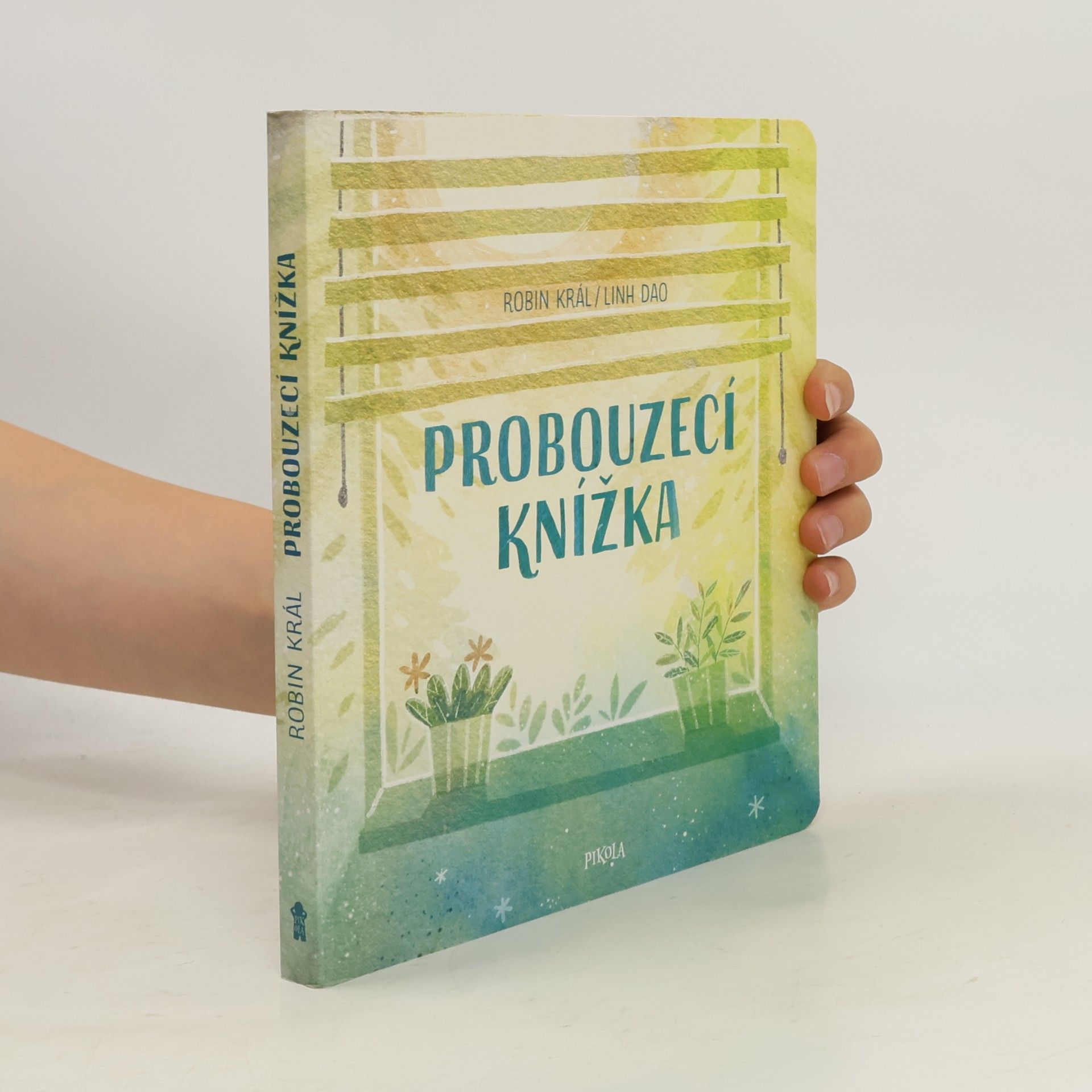 Robin Král Probouzecí knížka
