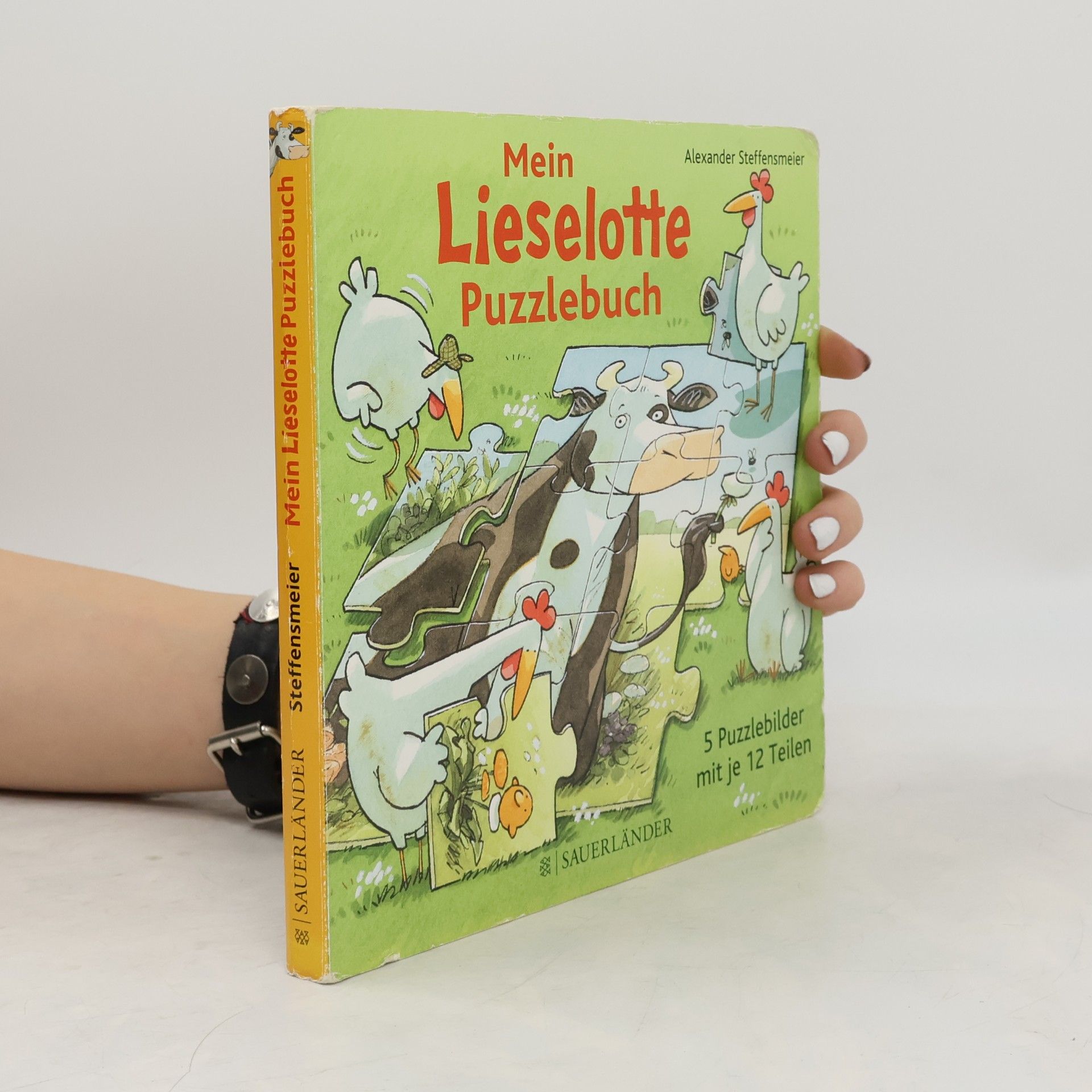 Alexander Steffensmeier Mein Lieselotte Puzzlebuch