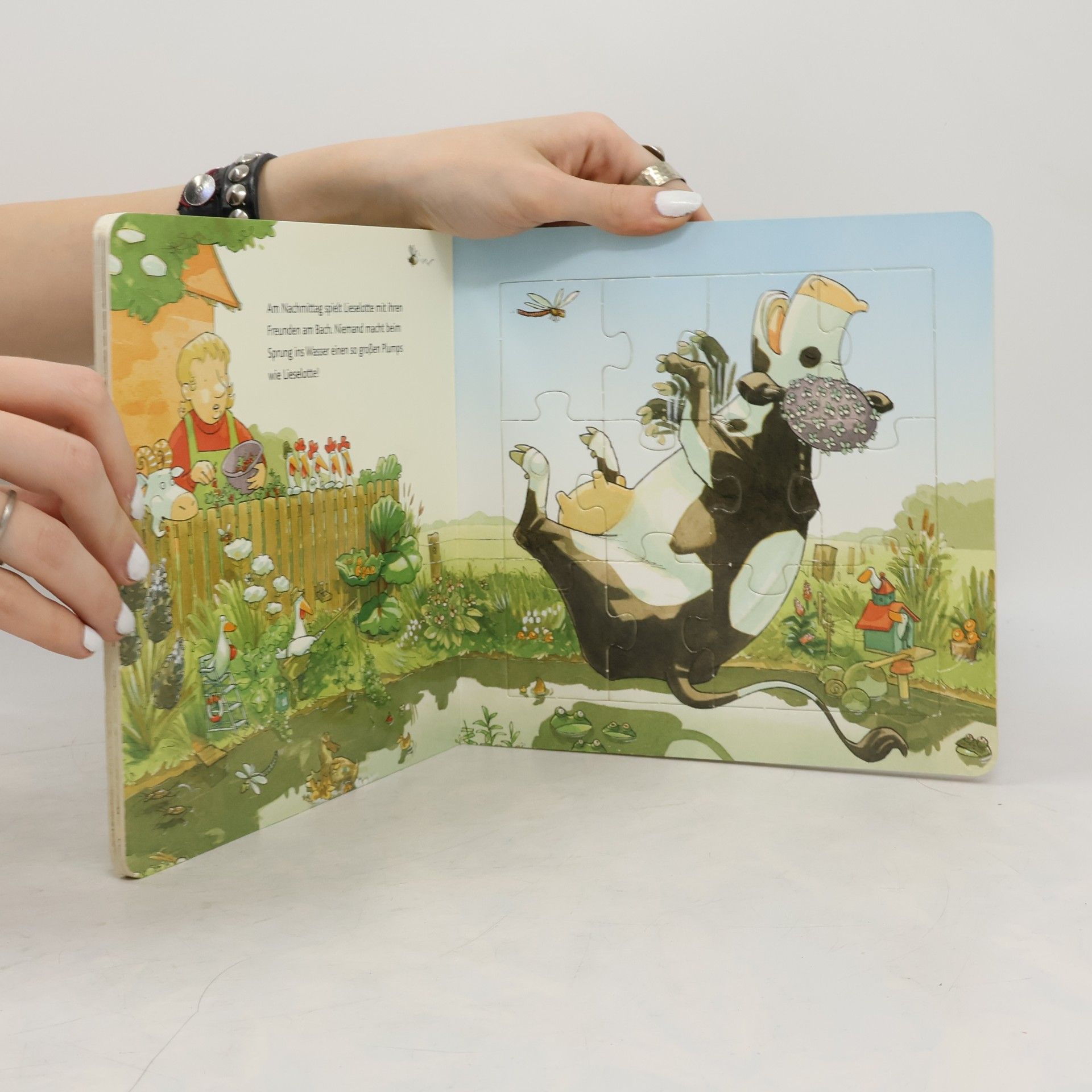 Alexander Steffensmeier Mein Lieselotte Puzzlebuch