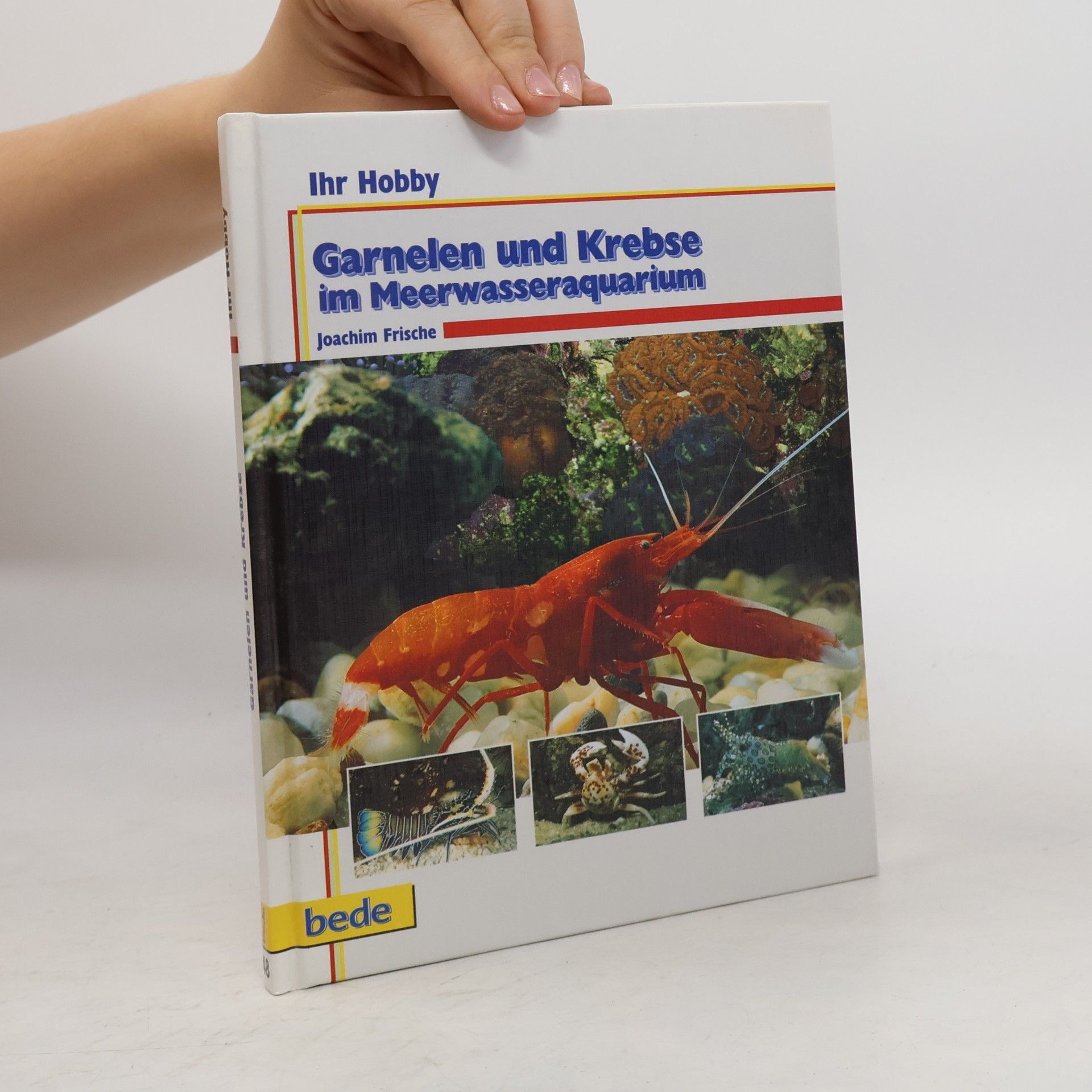 Joachim Frische Garnelen und Krebse im Meerwasseraquarium