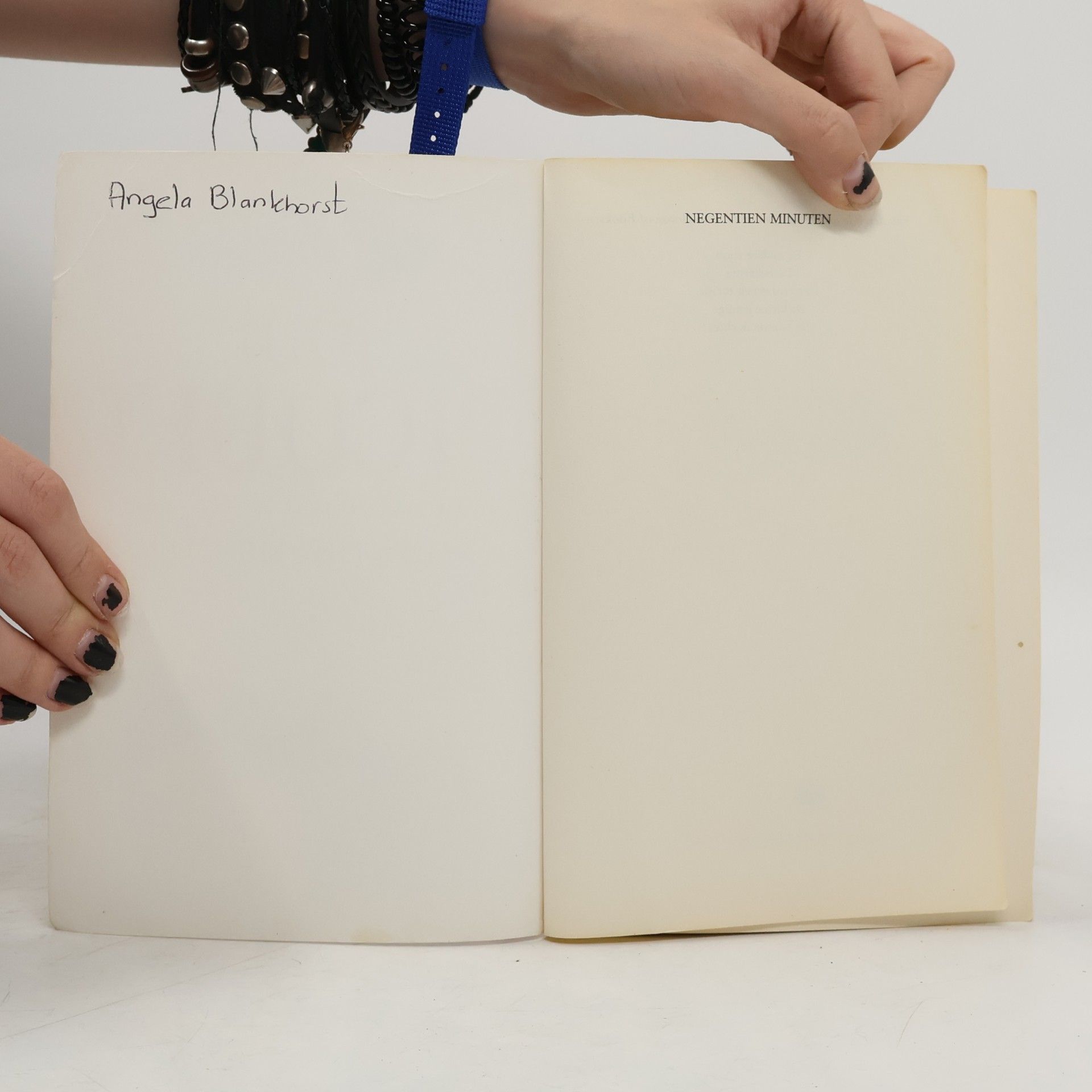 Jodi Picoult Negentien Minuten