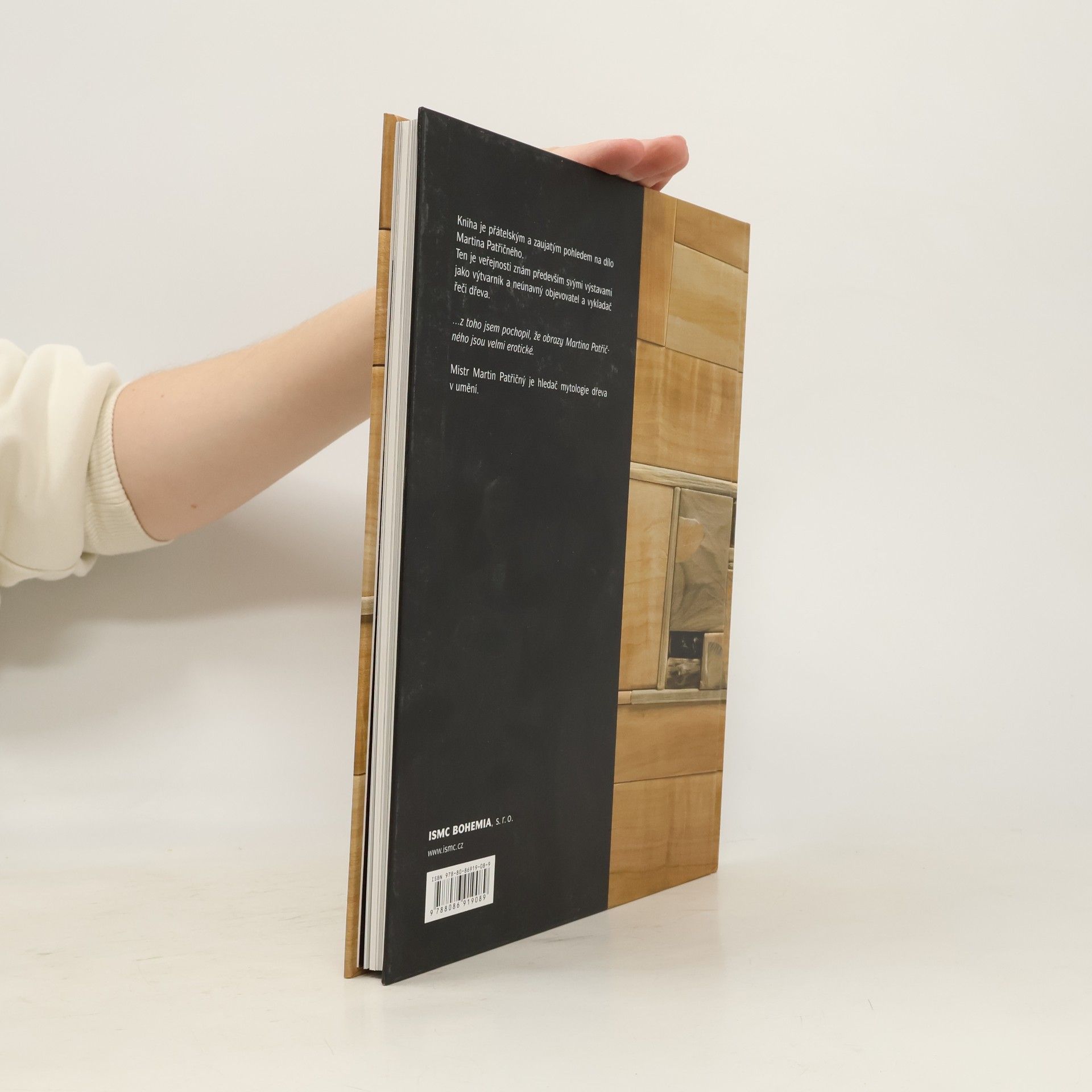 Amálie Maurer Patřičný. Monografie