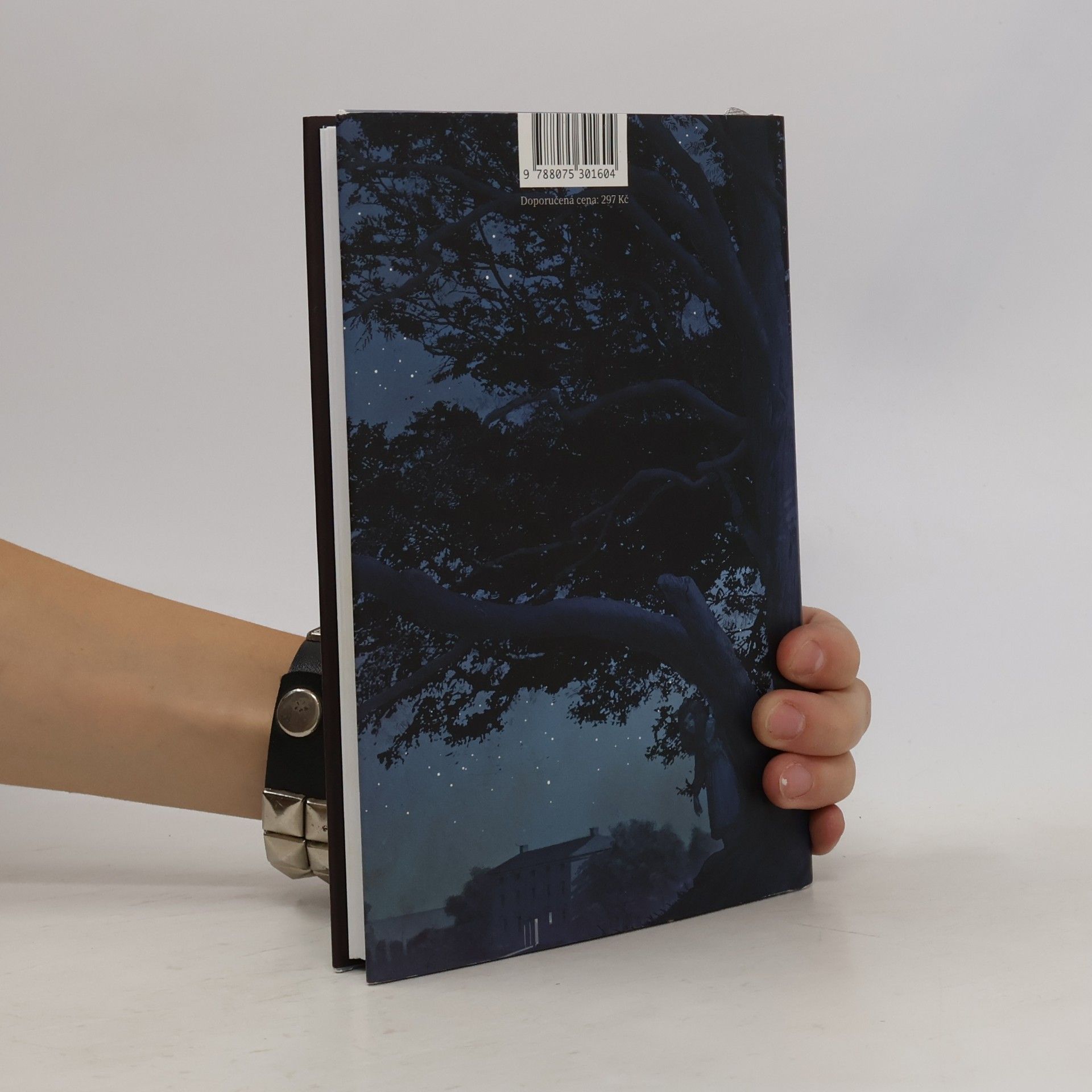 Ann Philippa Pearceová Tomova půlnoční zahrada
