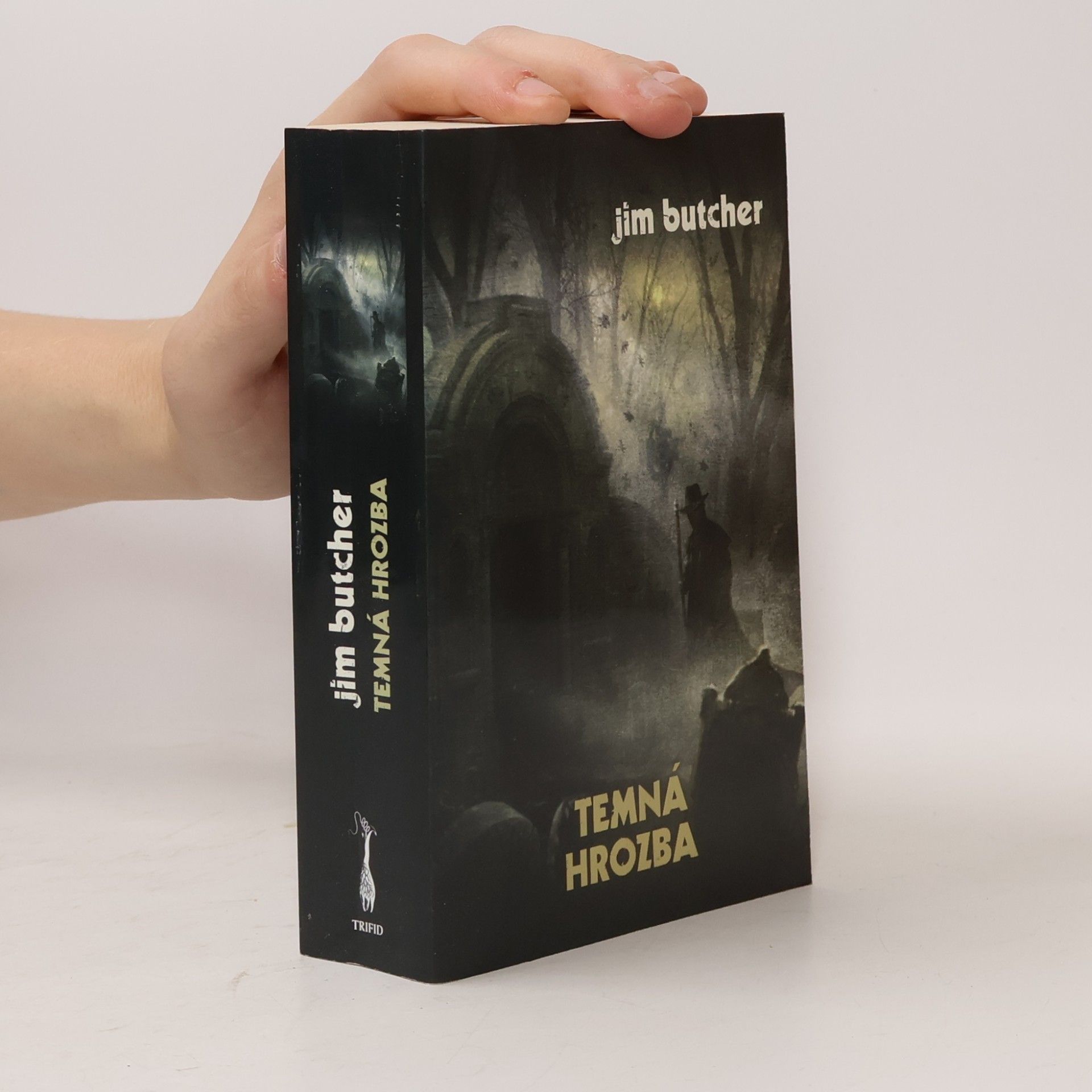 Jim Butcher Temná hrozba