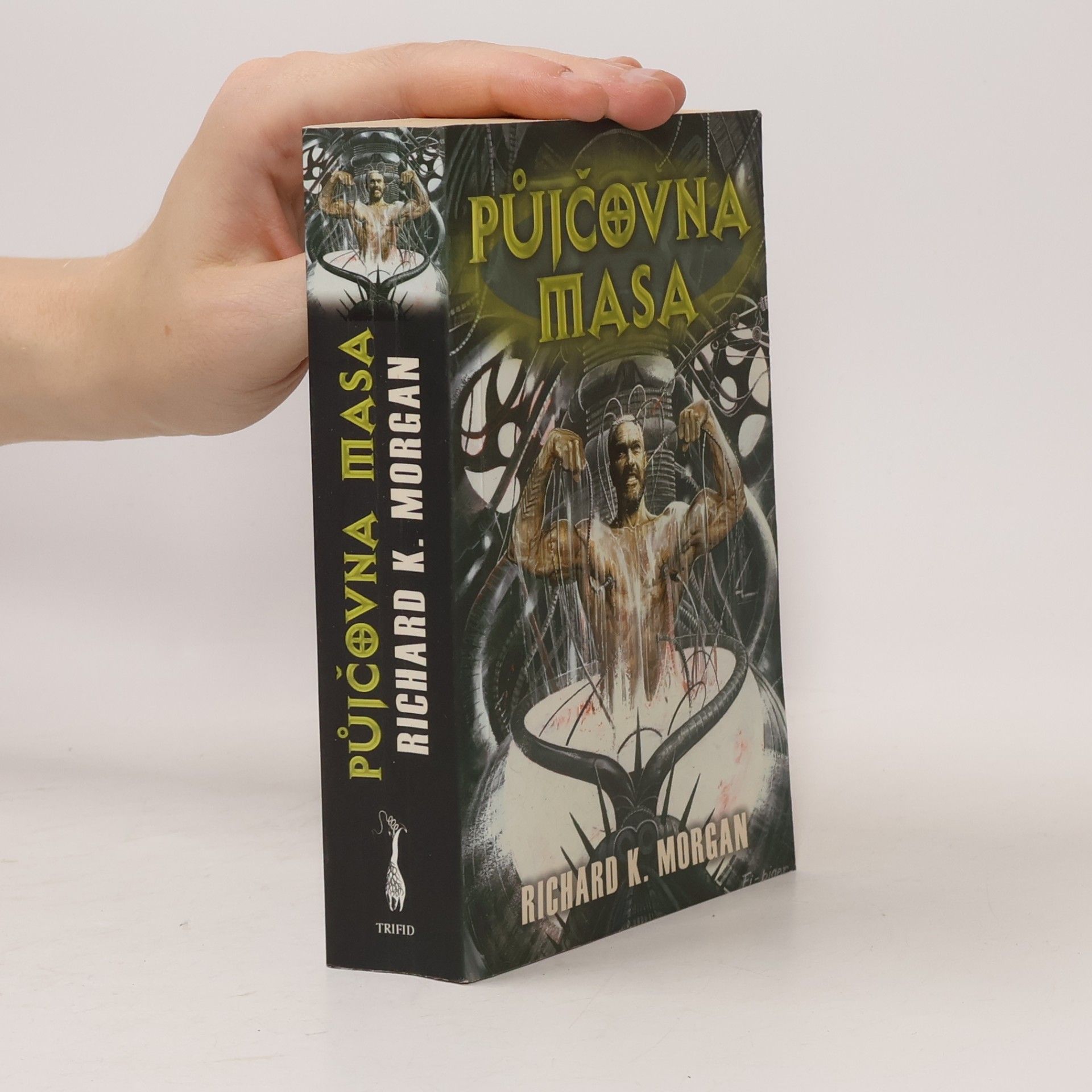 Půjčovna masa