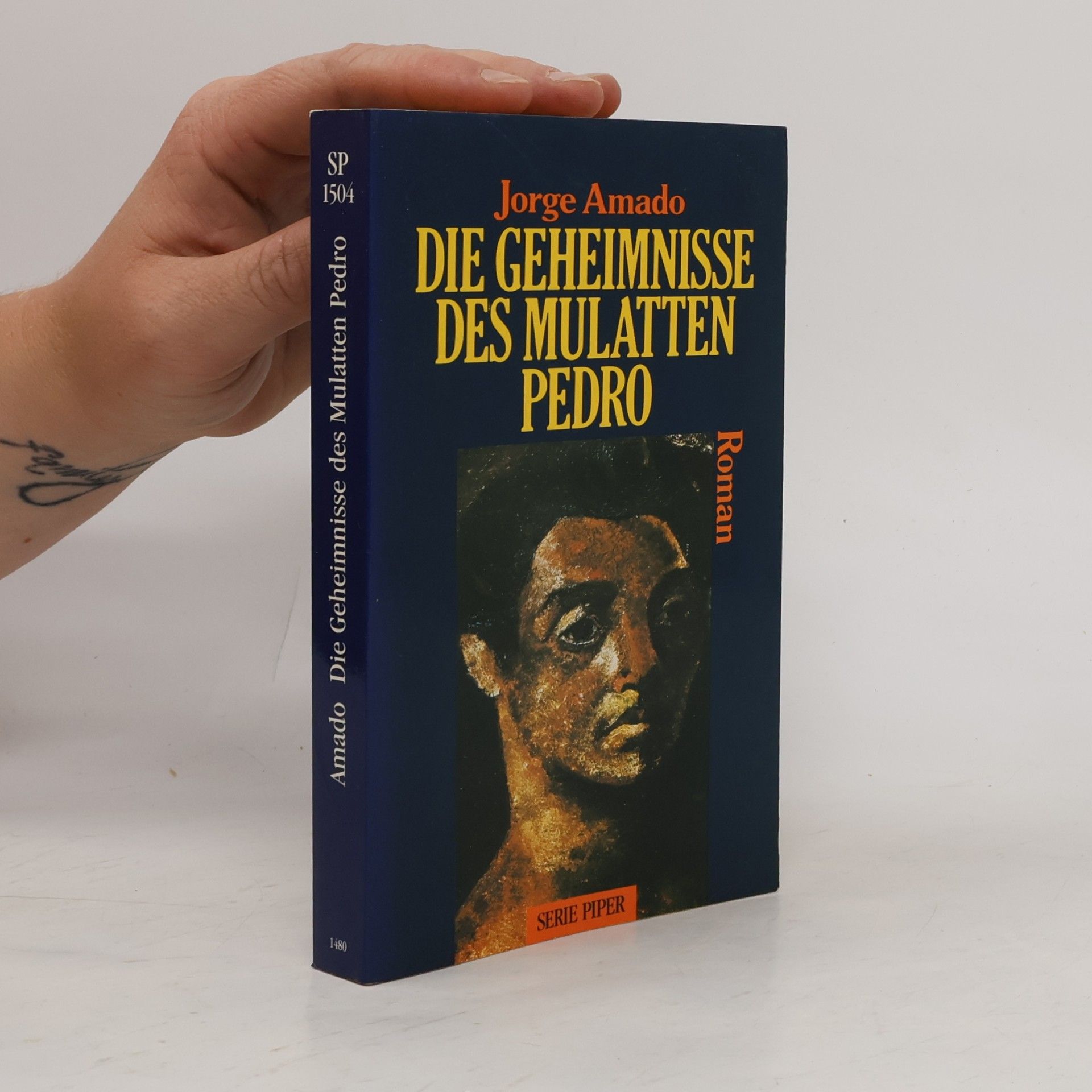 Jorge Amado Die Geheimnisse des Mulatten Pedro. Roman