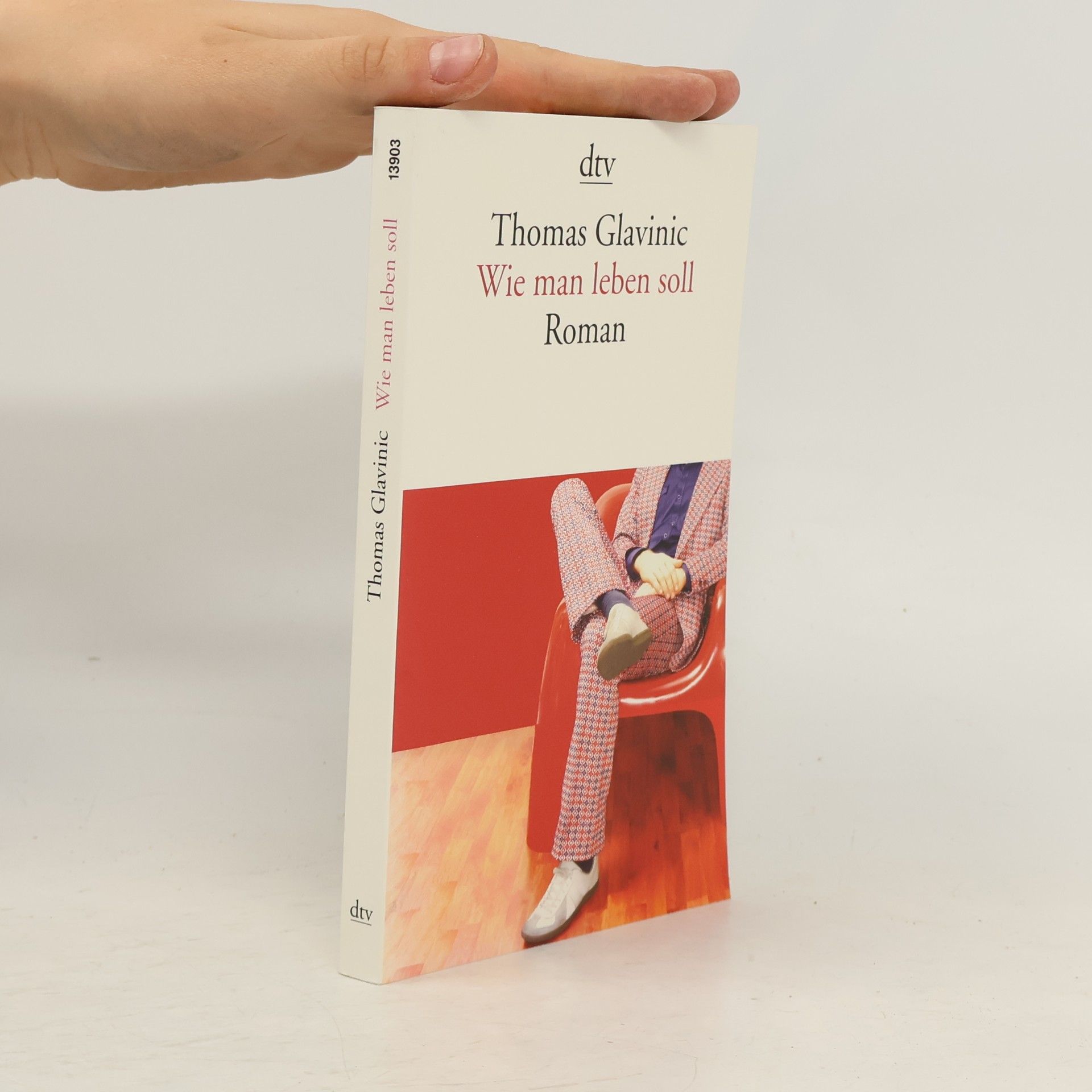 Thomas Glavinic Wie Man leben Soll