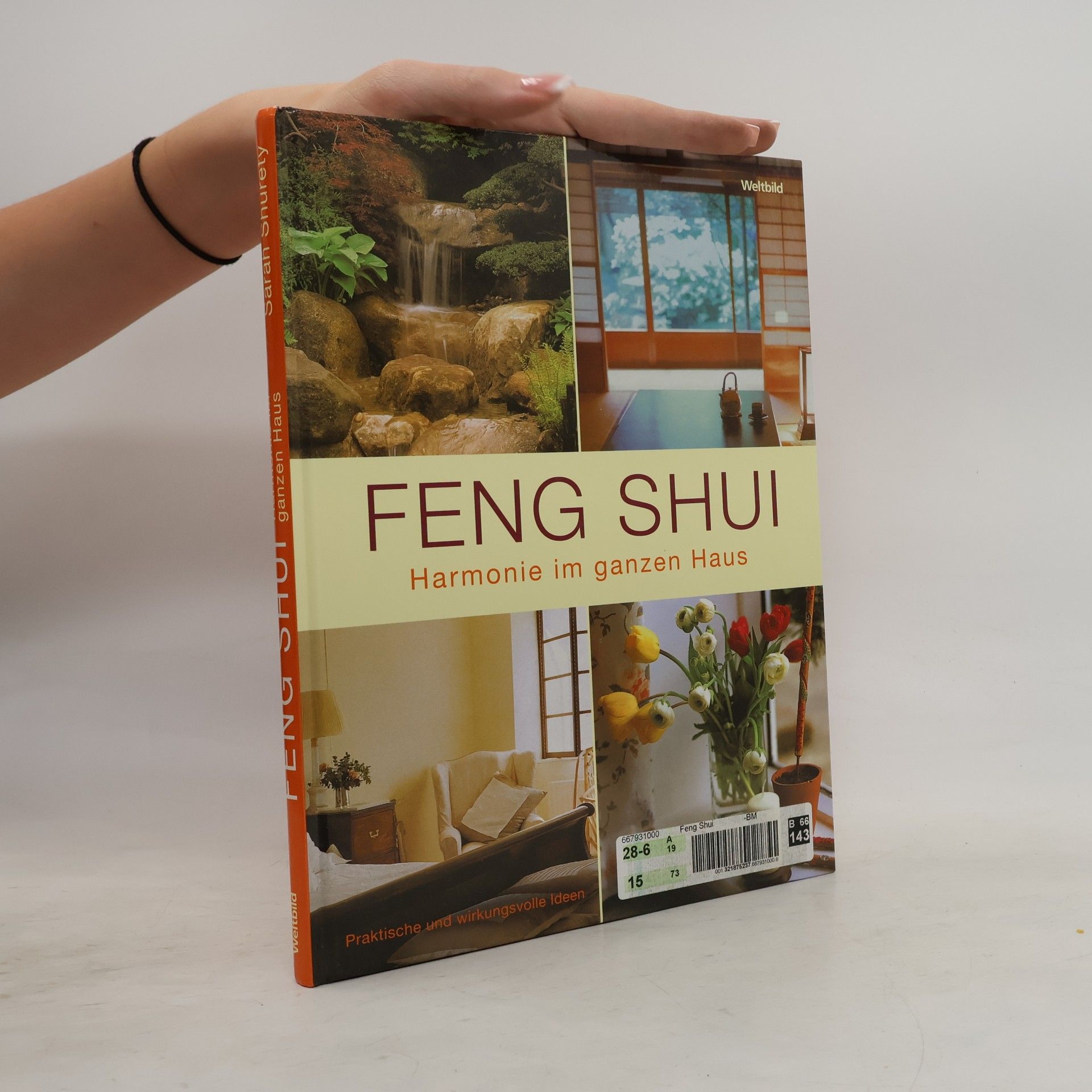 Sarah Shurety Feng-Shui