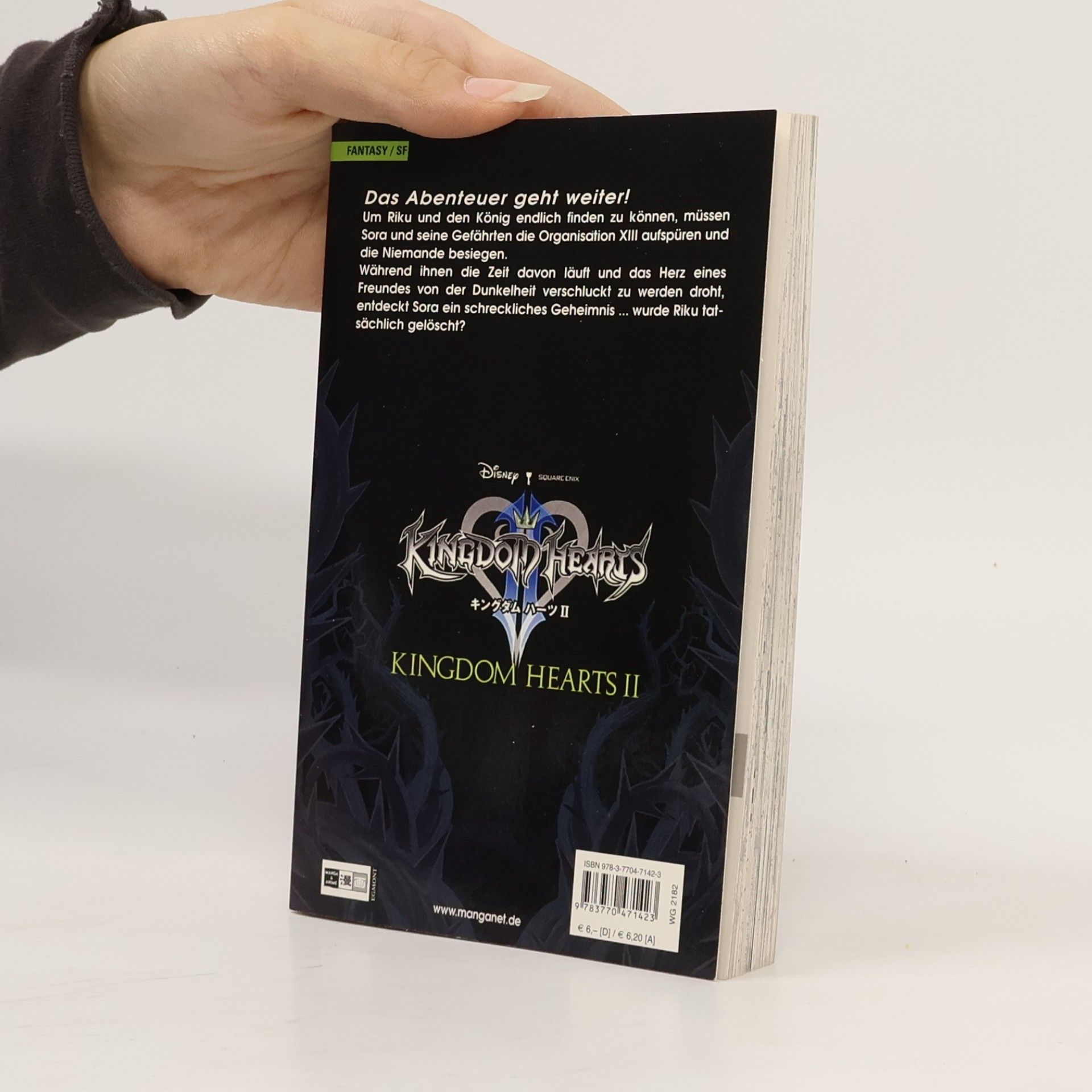 Kingdom hearts II