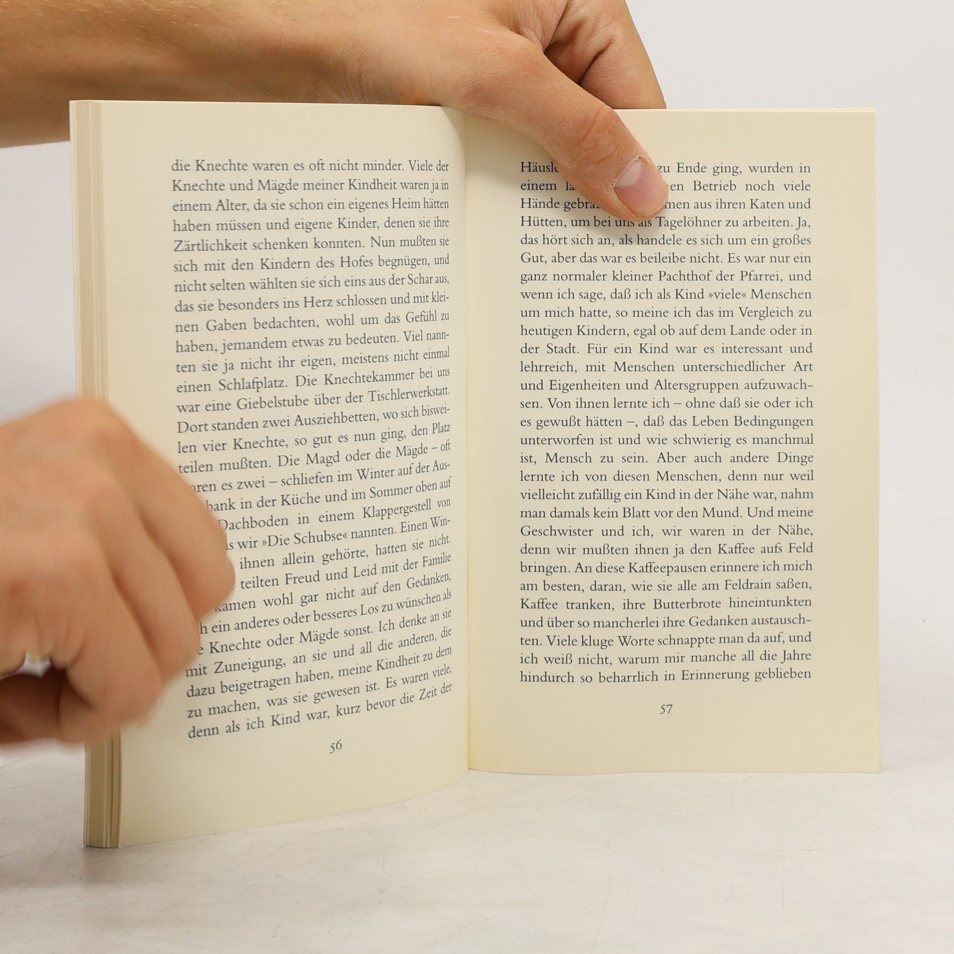 Astrid Lindgren Das entschwundene Land