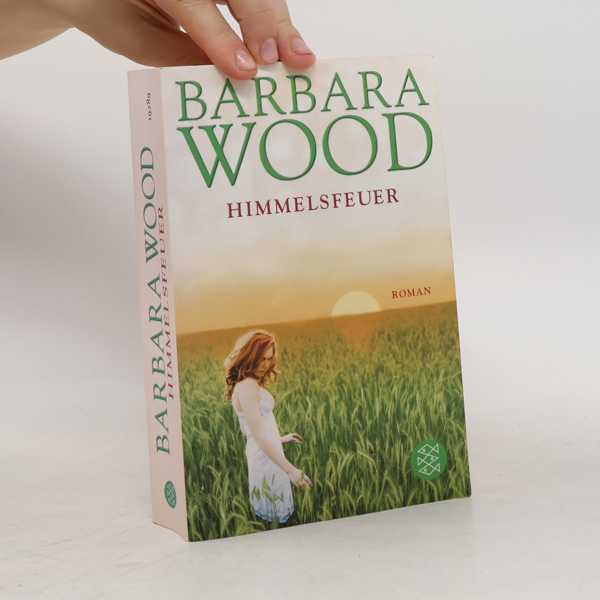 Barbara Wood Himmelsfeuer