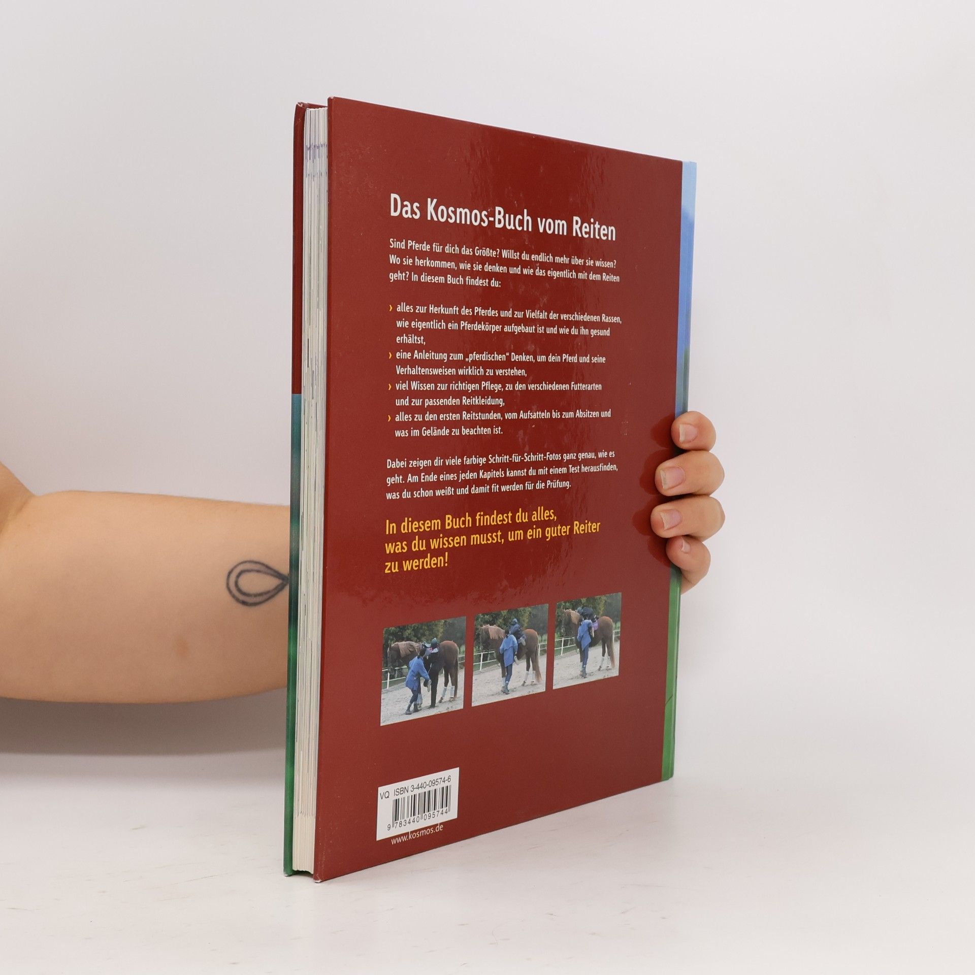 Angelika Schmid Das Kosmos-Buch vom Reiten