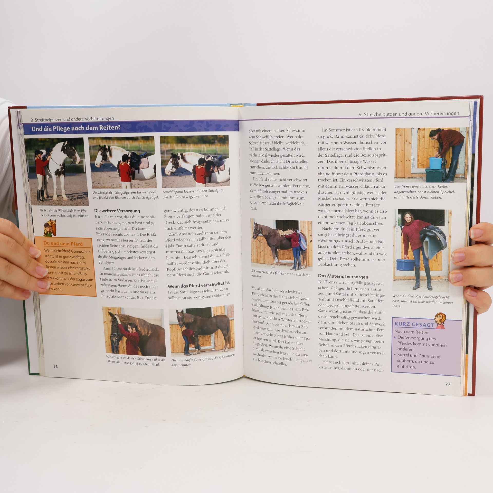 Angelika Schmid Das Kosmos-Buch vom Reiten