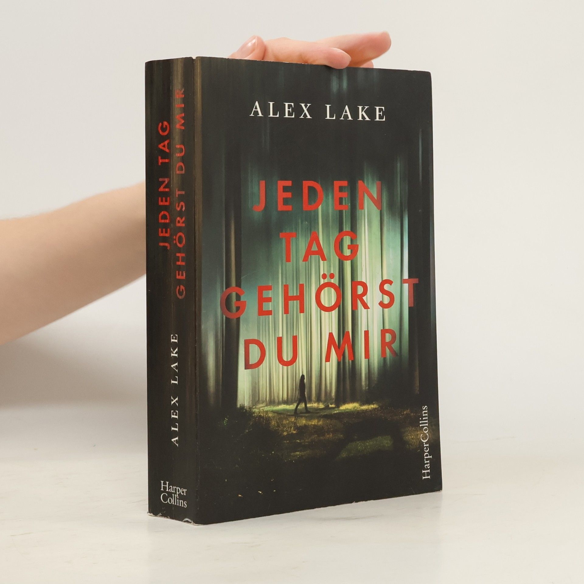 Alex Lake Jeden Tag gehörst du mir
