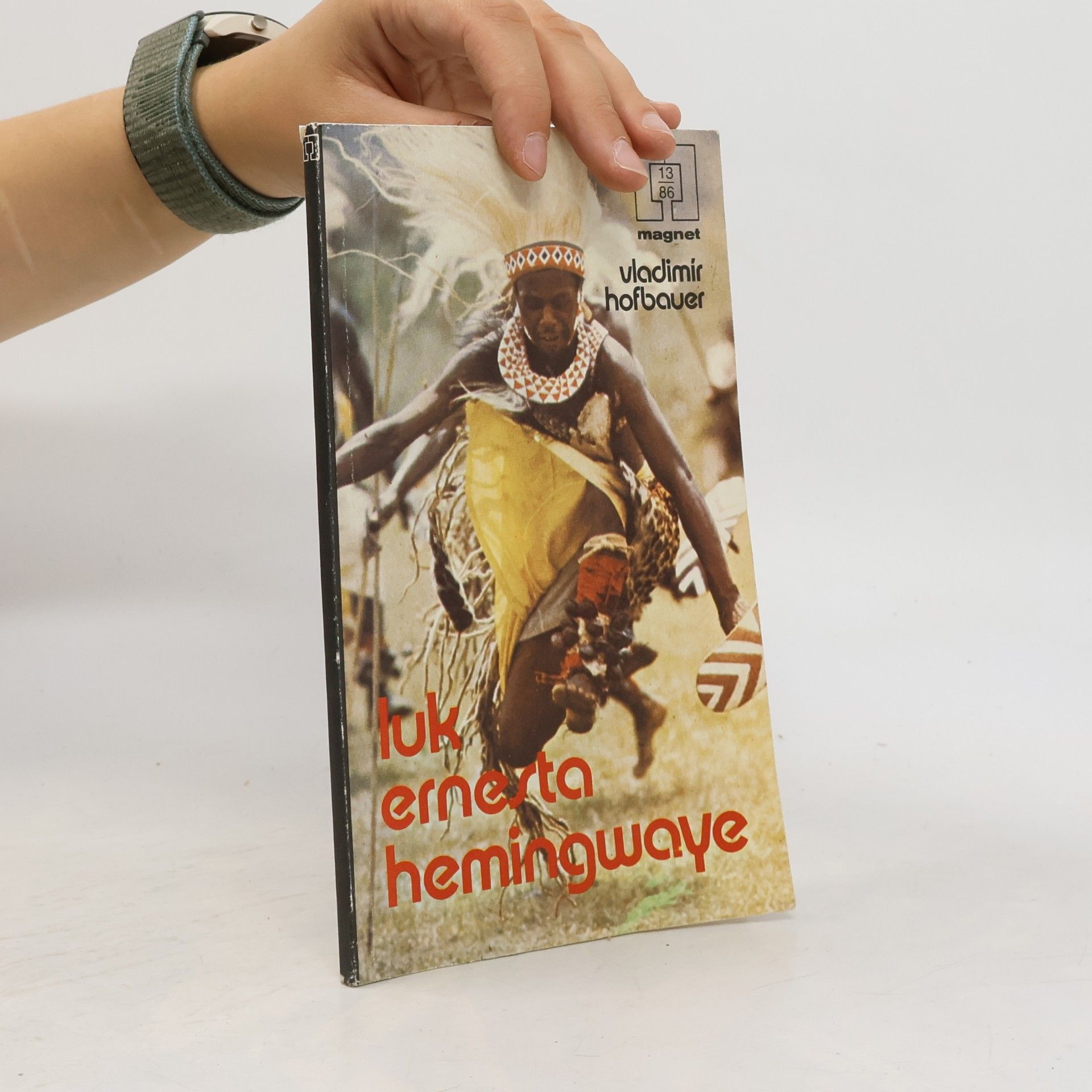 Vladimír Hofbauer Luk Ernesta Hemingwaye