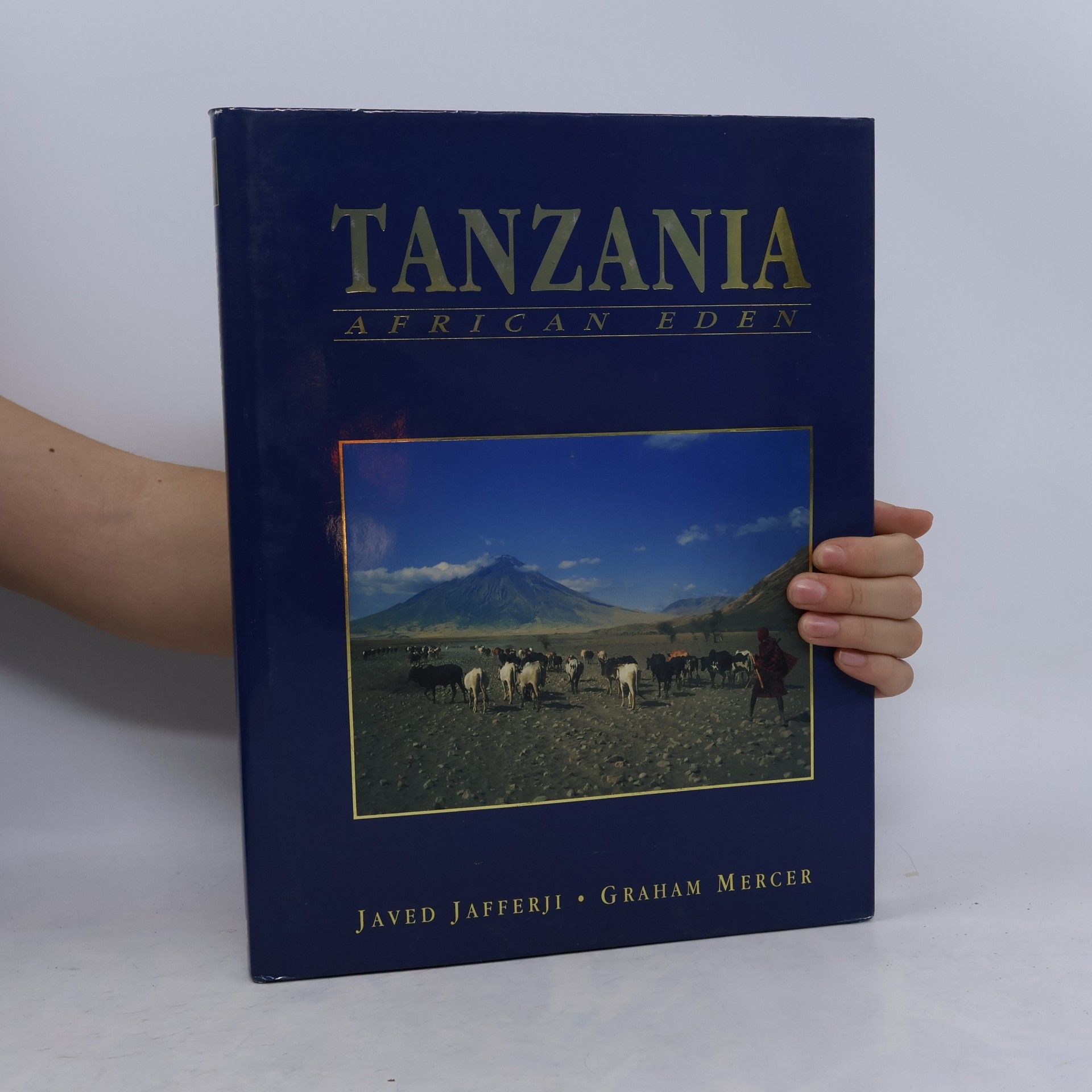 graham-mercer-javed-jafferji Tanzania