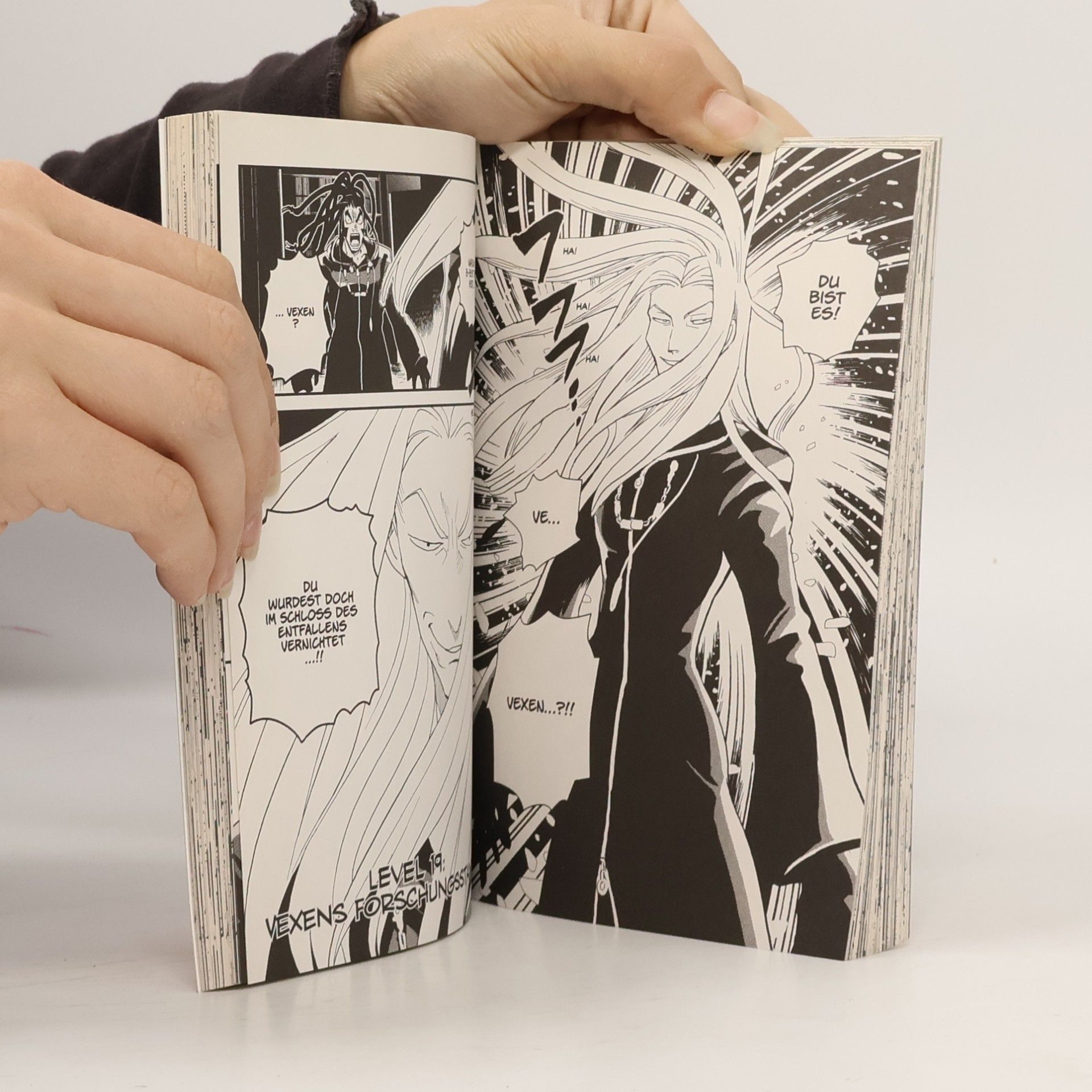 Autorenkollektiv Kingdom hearts II. Volume 3