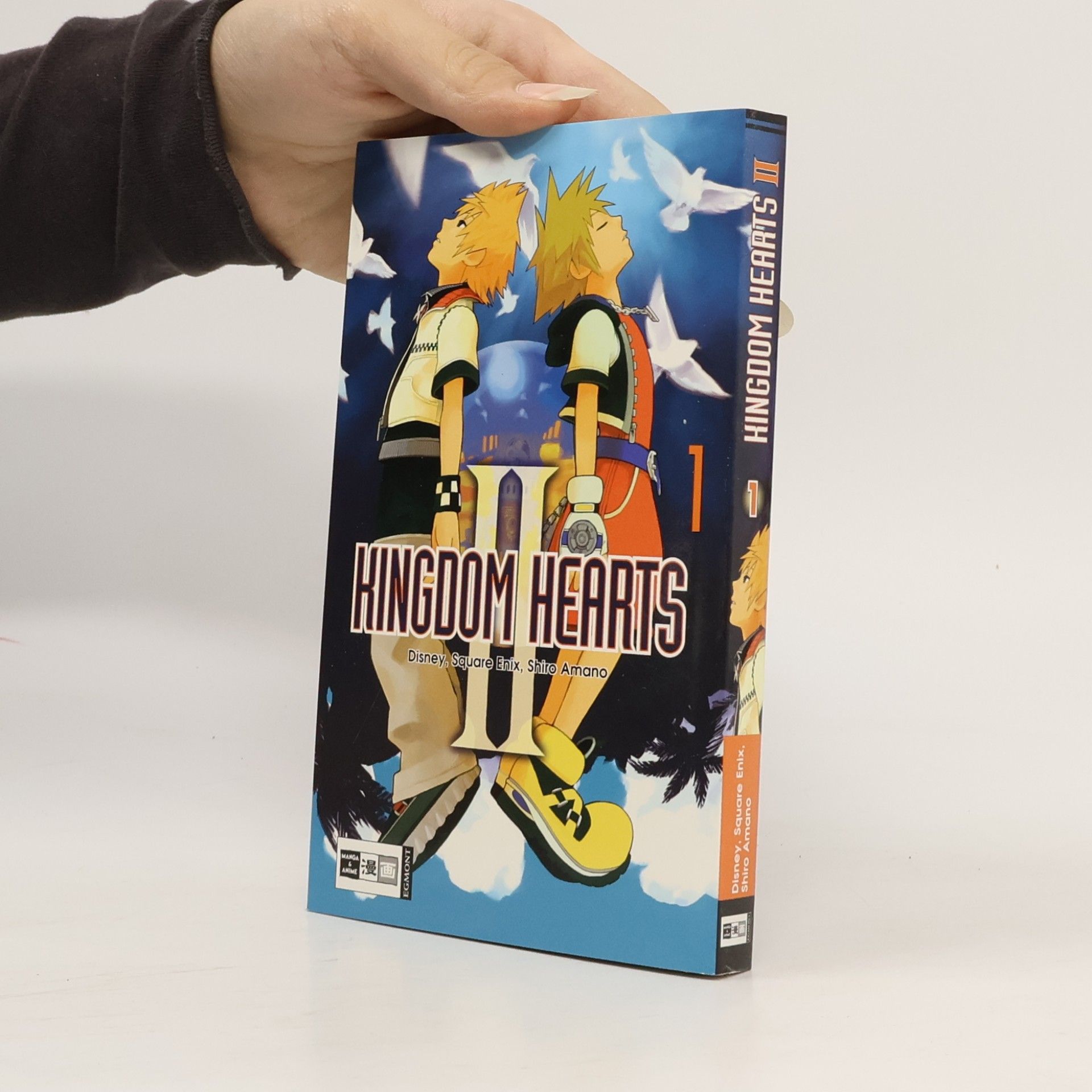 Shiro Amano Kingdom hearts II 1