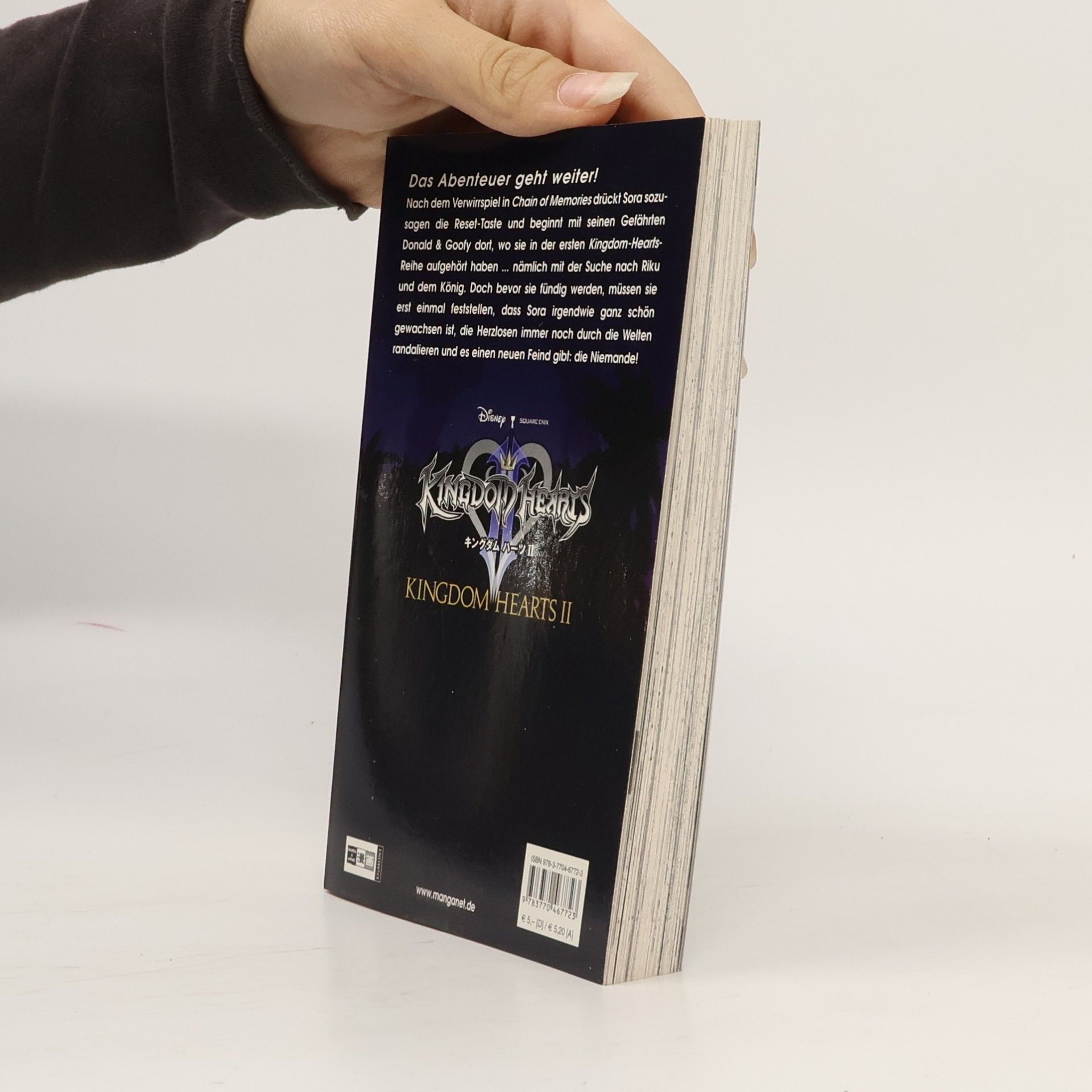 Shiro Amano Kingdom hearts II 1