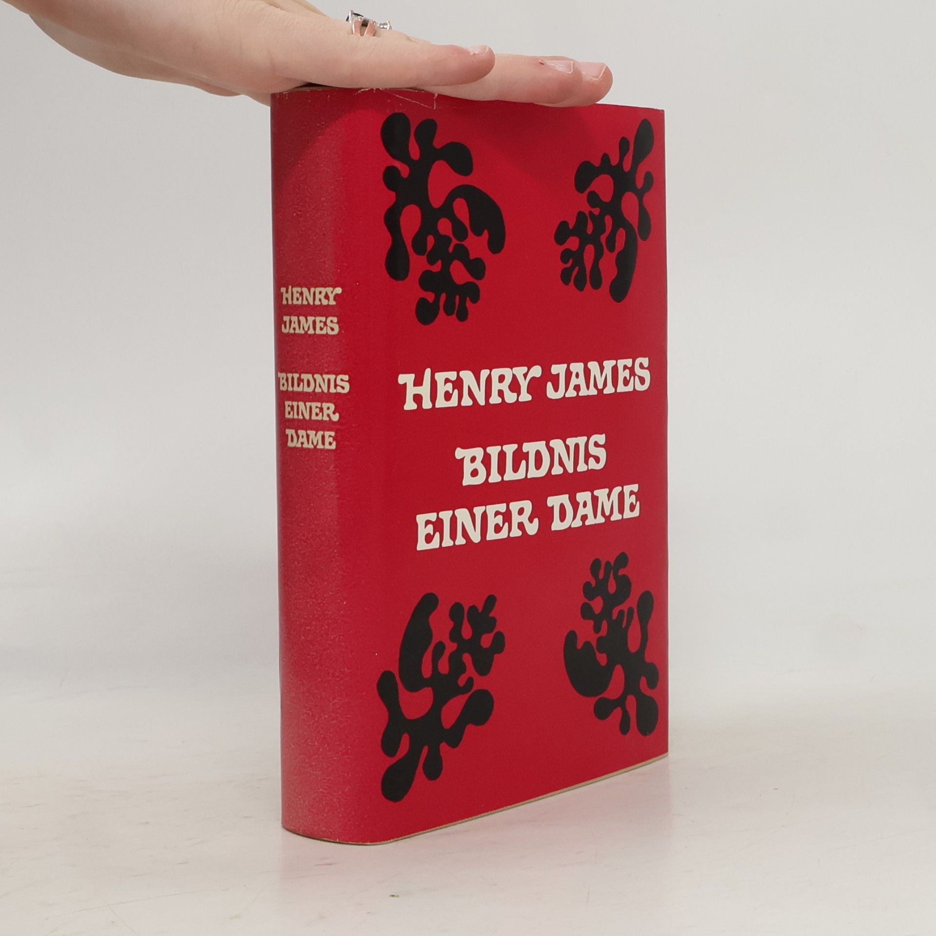 Henry James Bildnis einer Dame