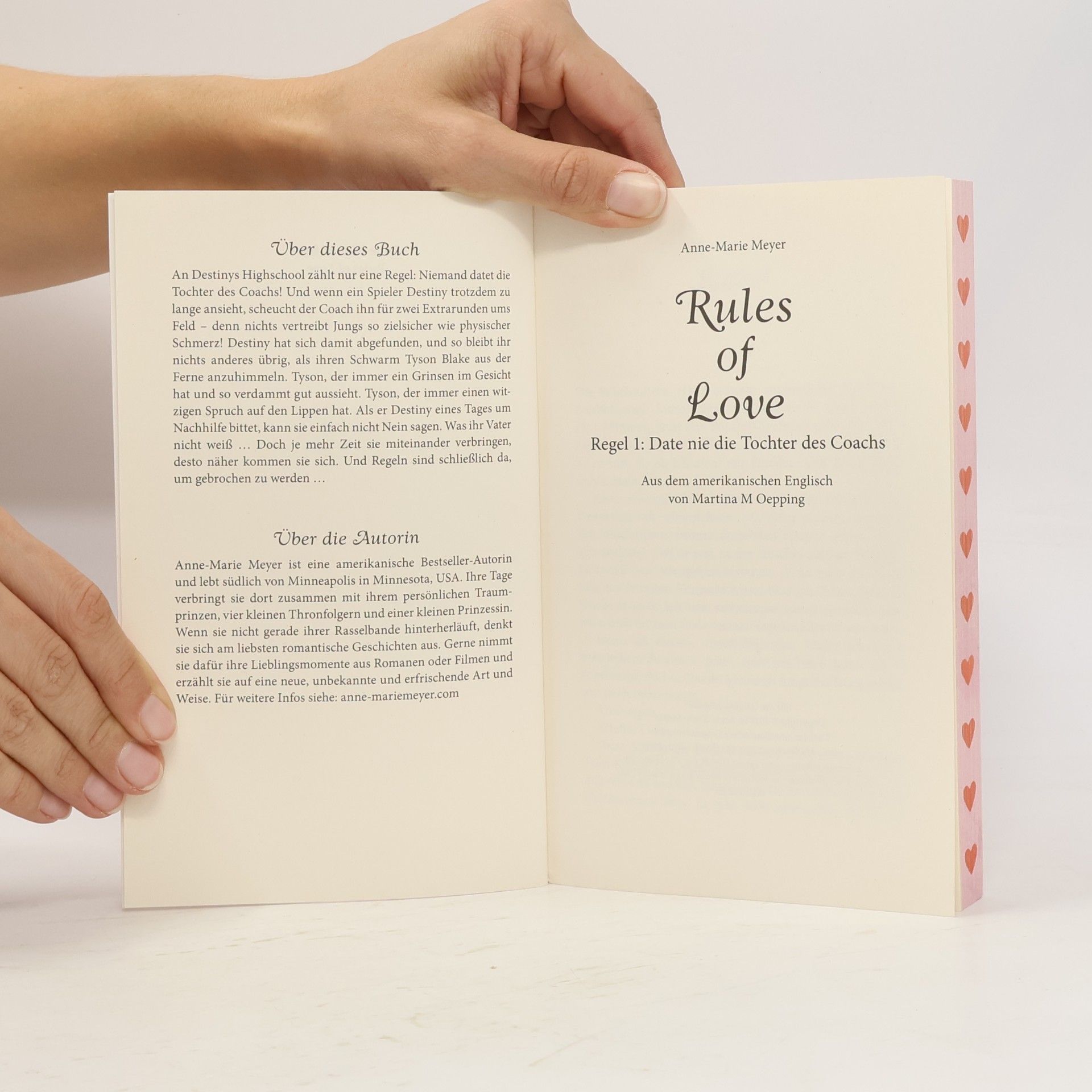 Anne-Marie Meyer  Rules of Love