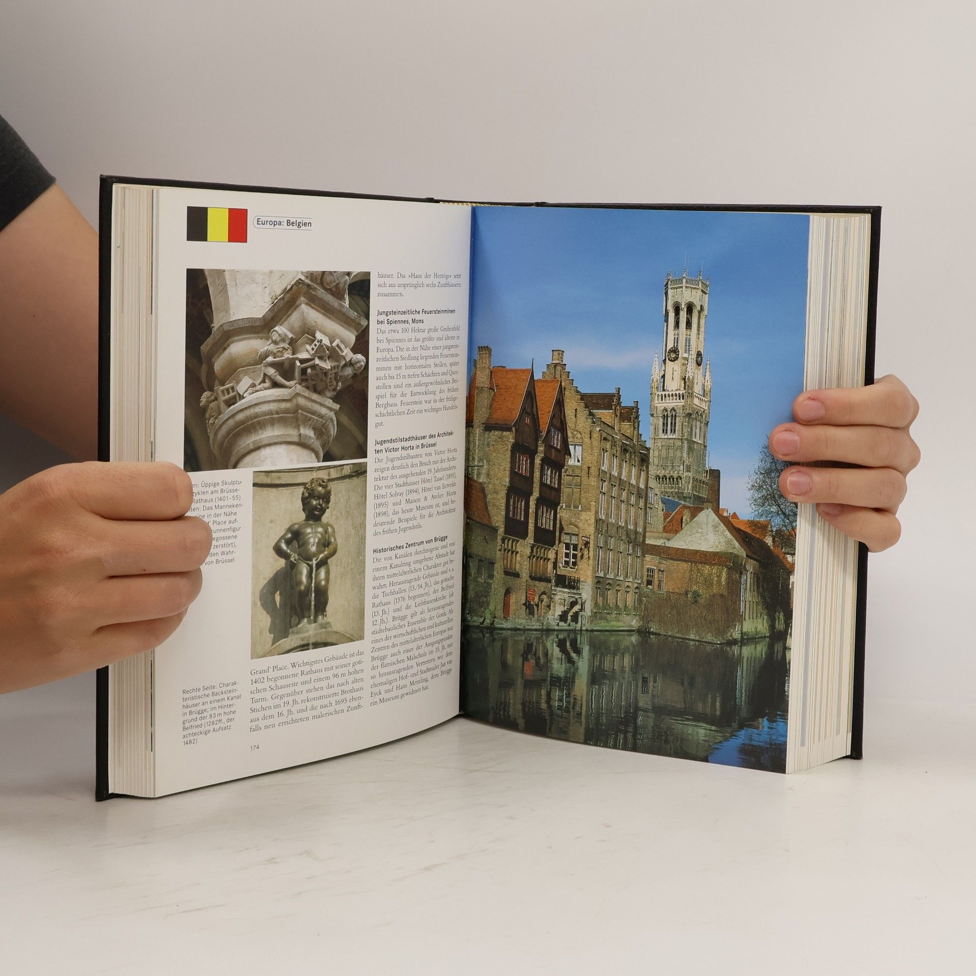Brockhaus - die Bibliothek