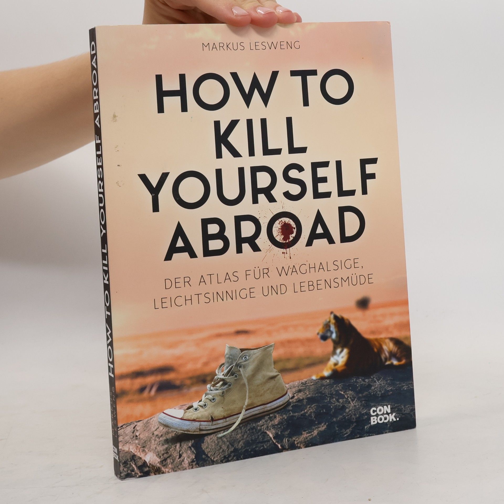 Markus Lesweng How to kill yourself abroad