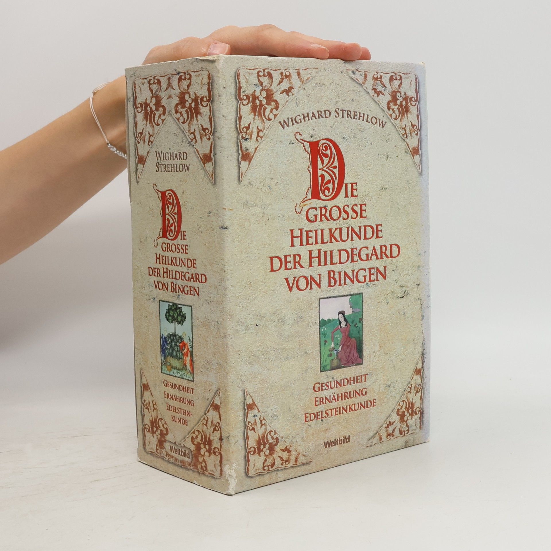 Die Grosse Heilkunde Der Hildegard von Bingen