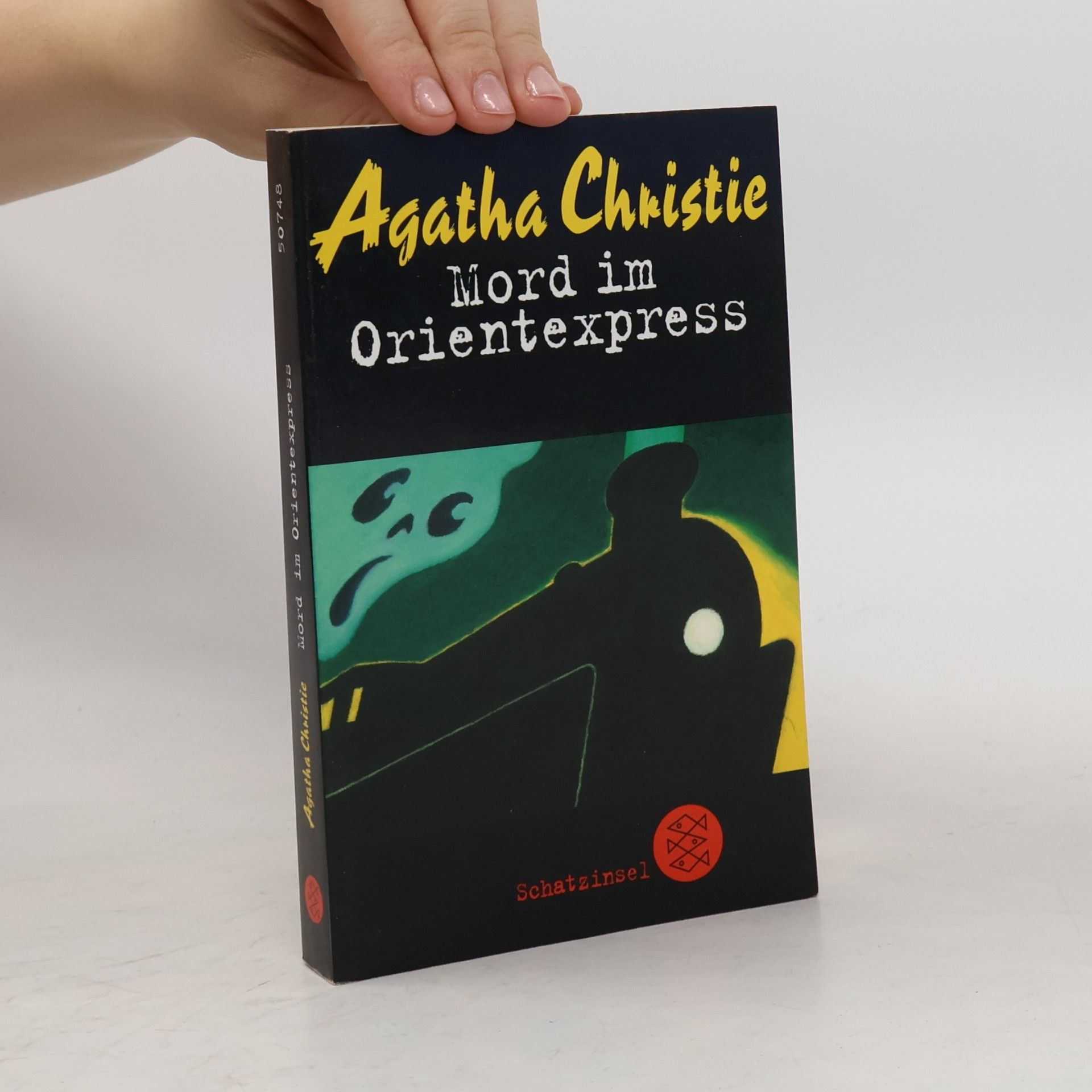 Agatha Christie Mord im Orientexpress