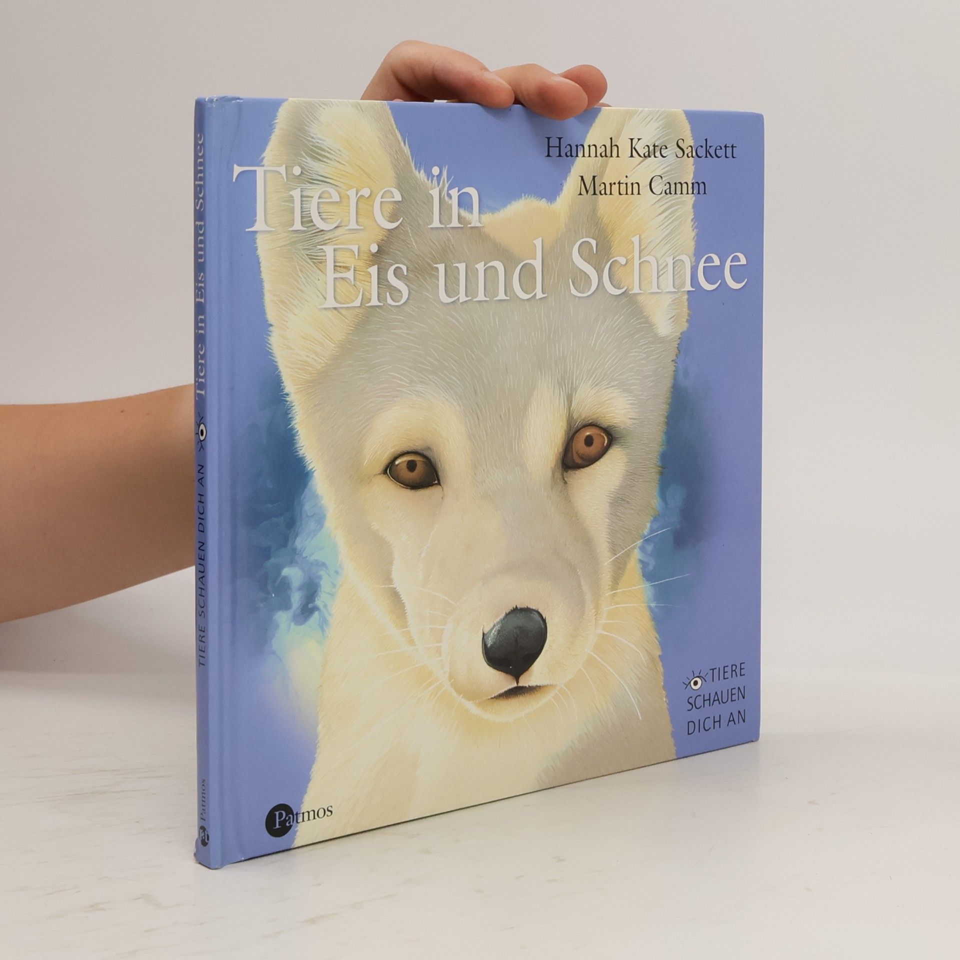 Hannah Kate Sackett Tiere in Eis und Schnee