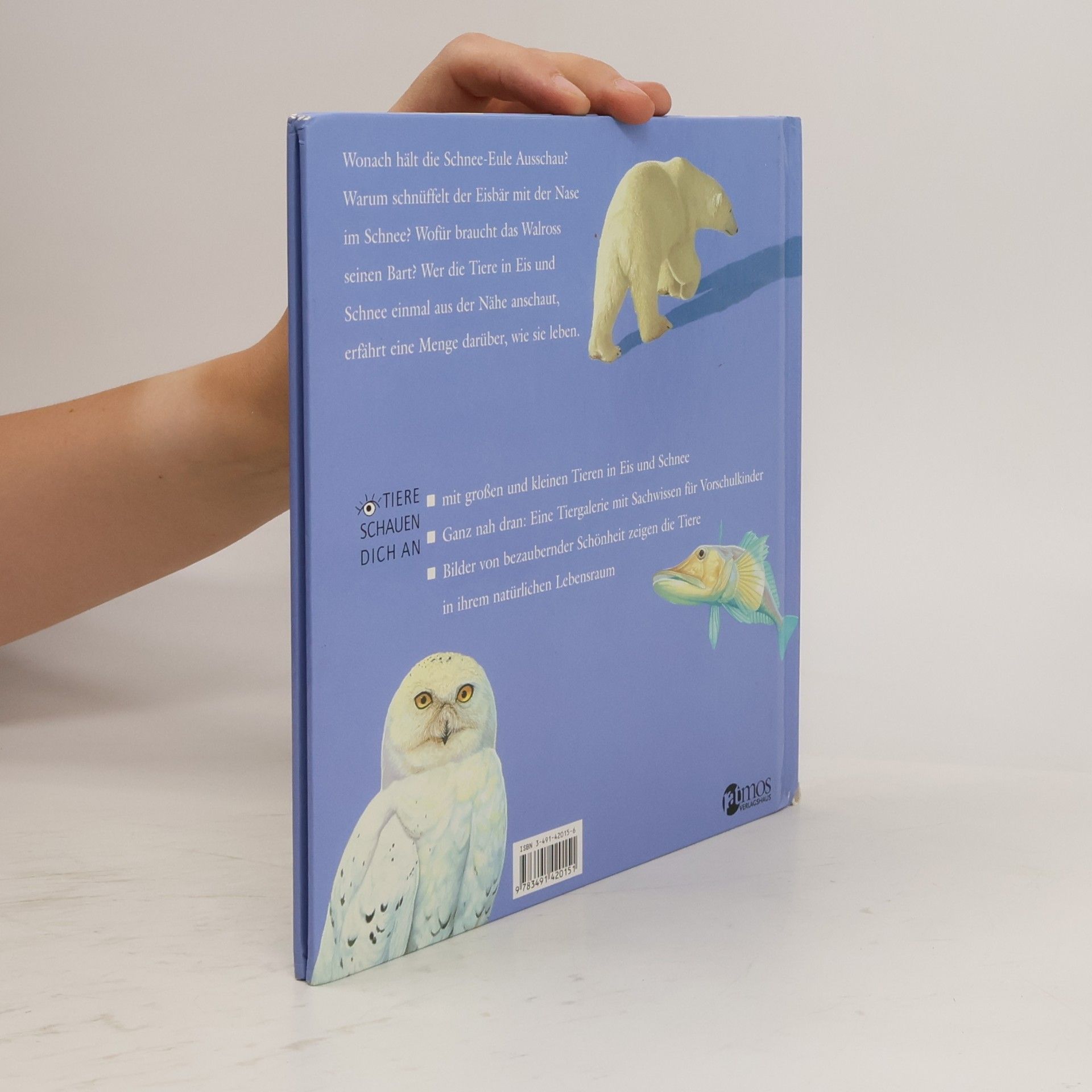 Hannah Kate Sackett Tiere in Eis und Schnee