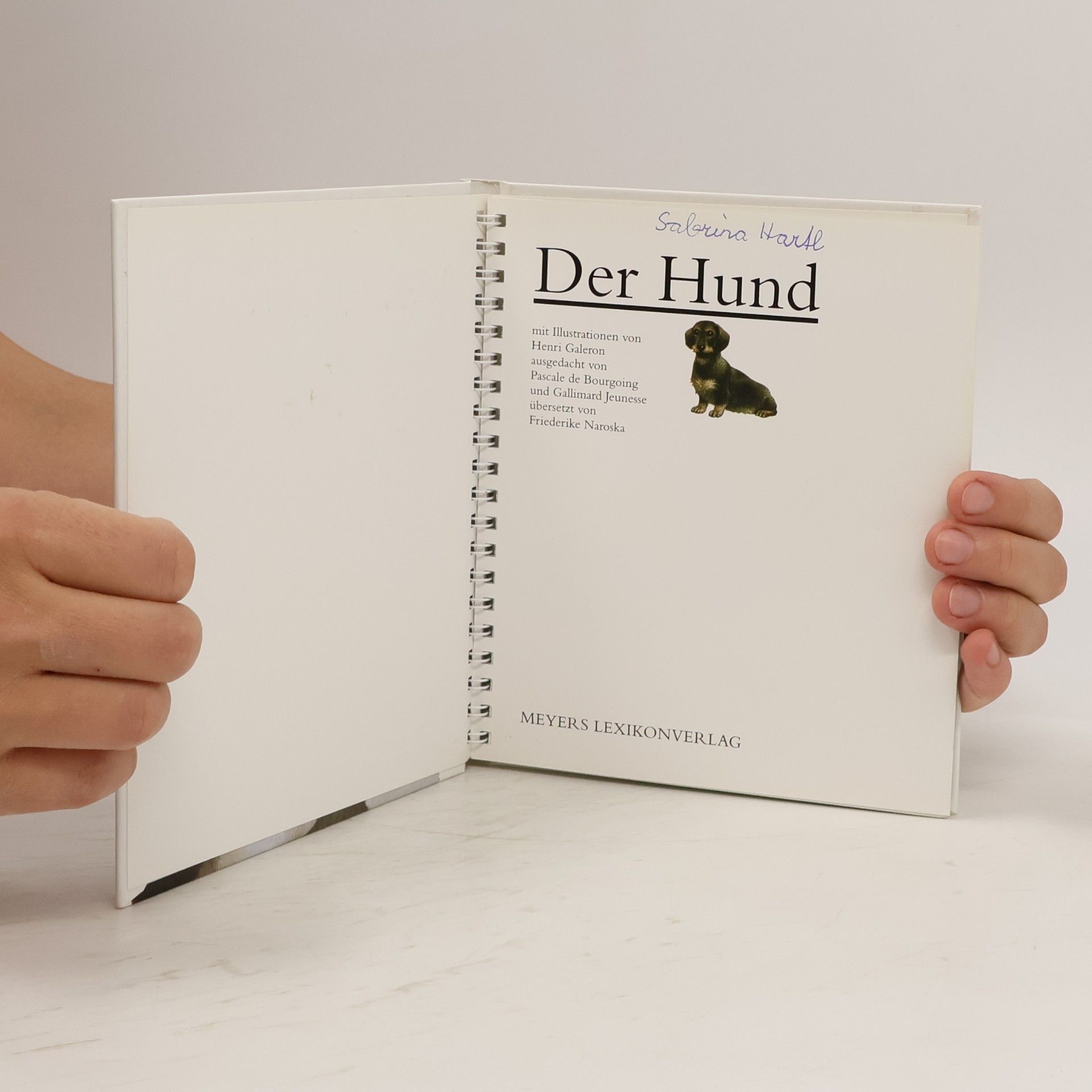 Henri Galeron Der Hund