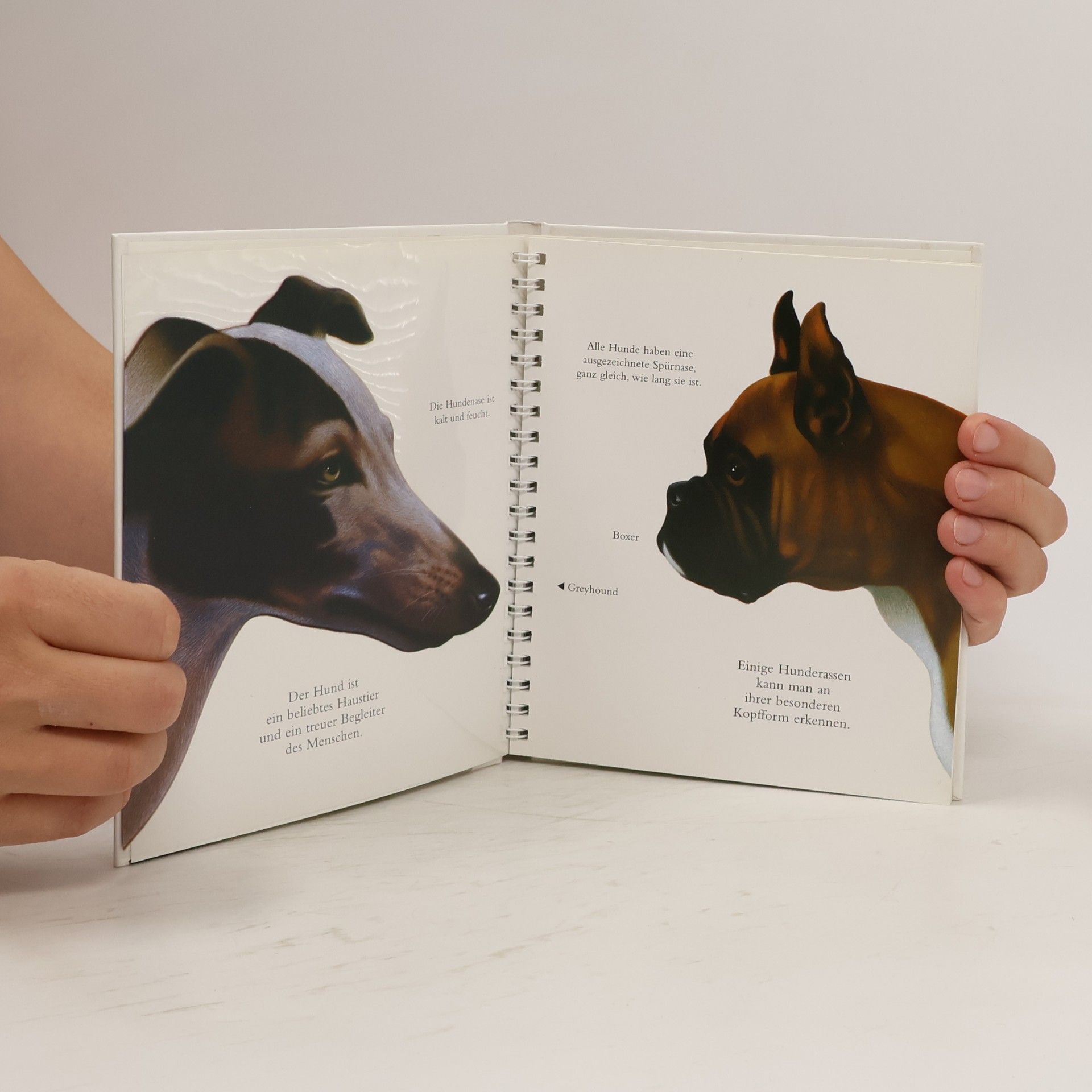 Henri Galeron Der Hund