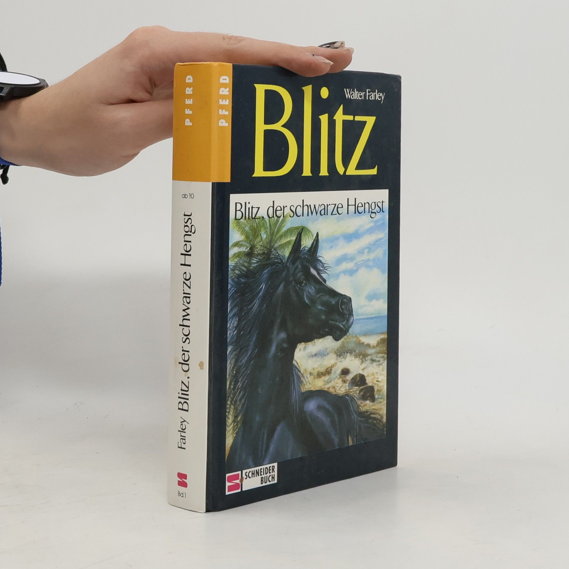 Walter Farley Blitz, der schwarze Hengst