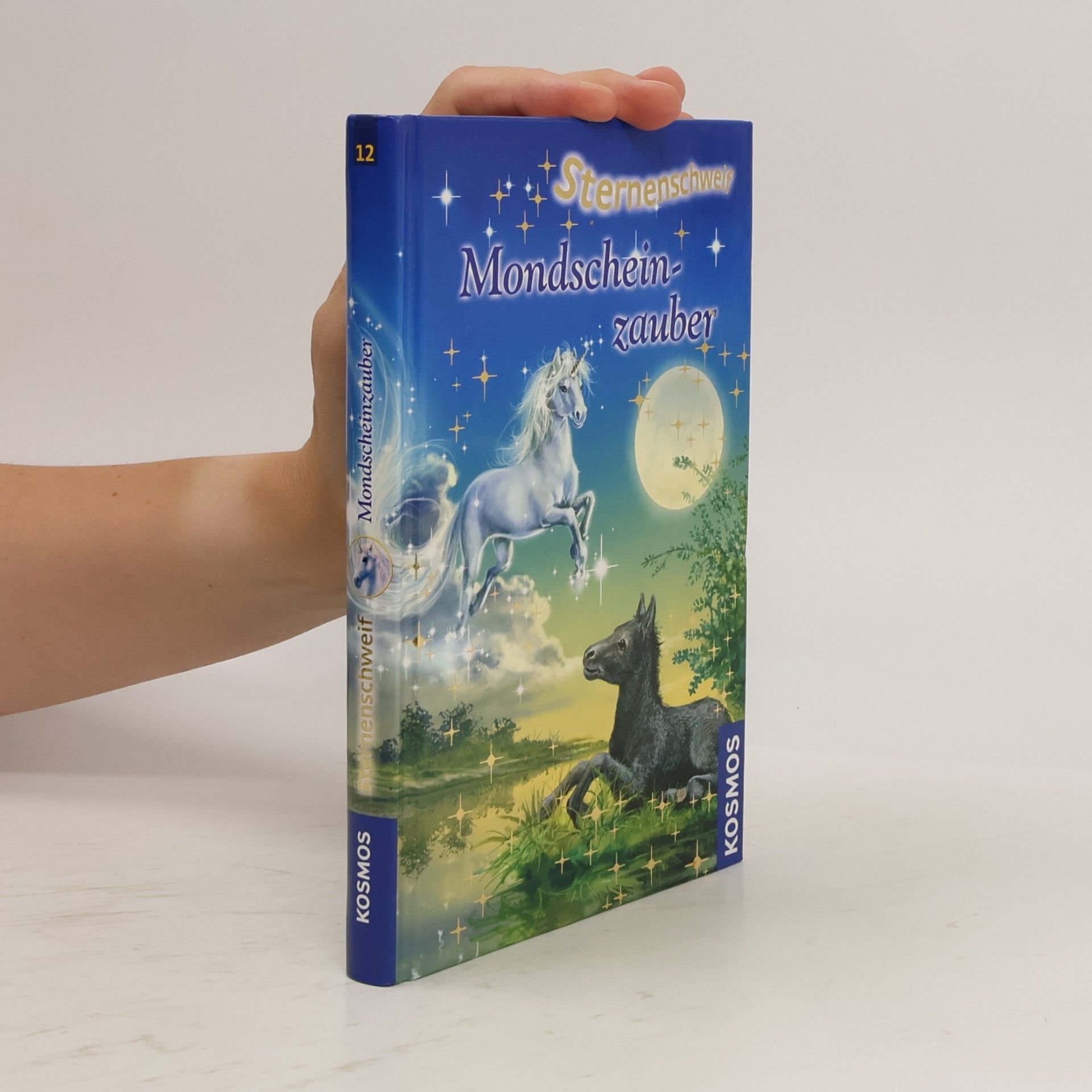 Linda Champan Sternenschweif. Mondscheinzauber 12